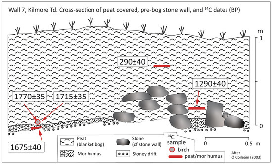 Diversity 17 00456 g009