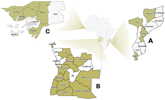 Diversity 17 00485 g002