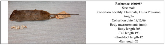 Diversity 17 00485 g003