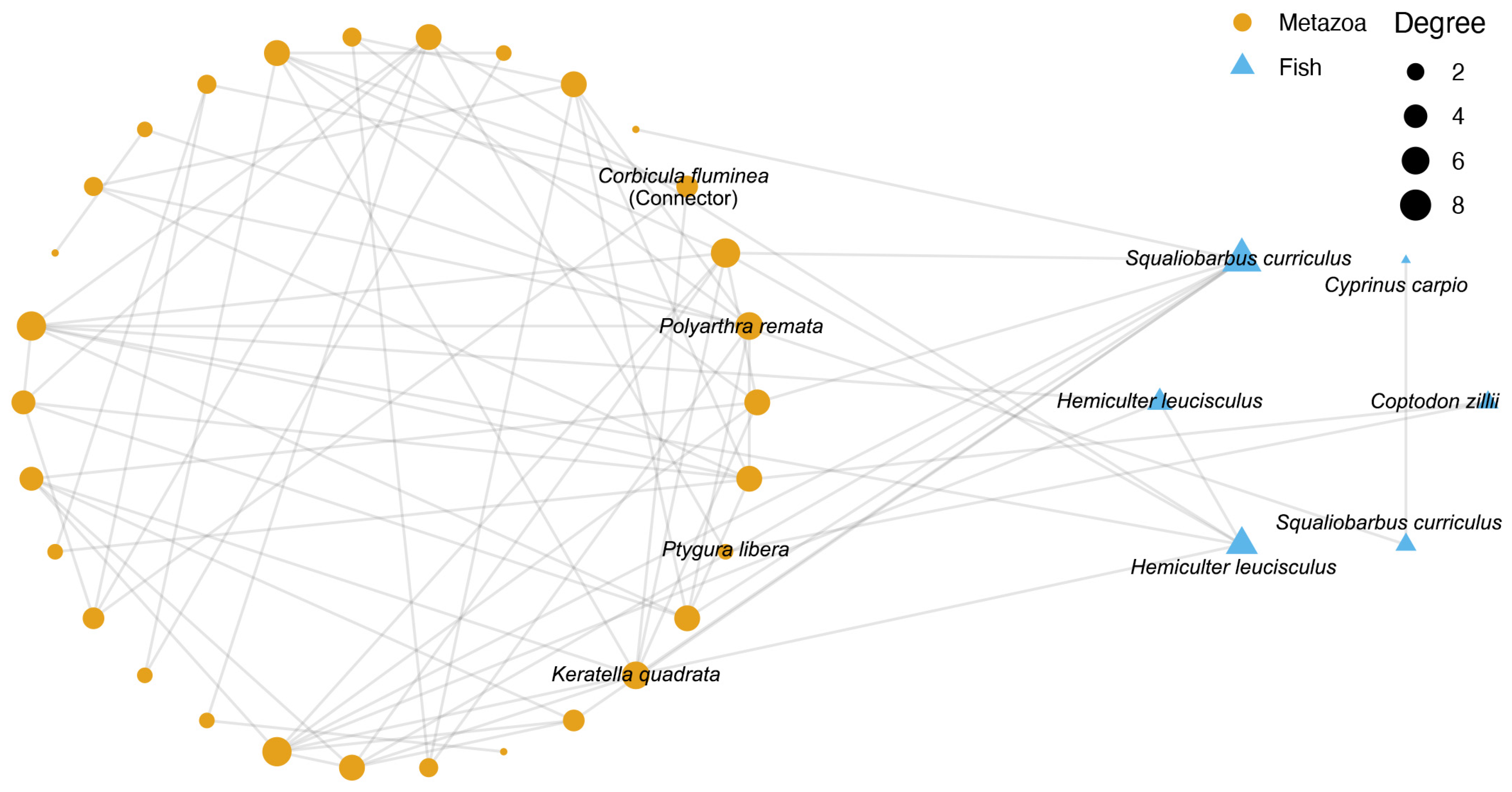 Diversity 17 00488 g006