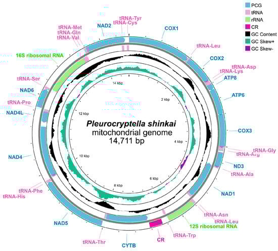 Diversity 17 00498 g003
