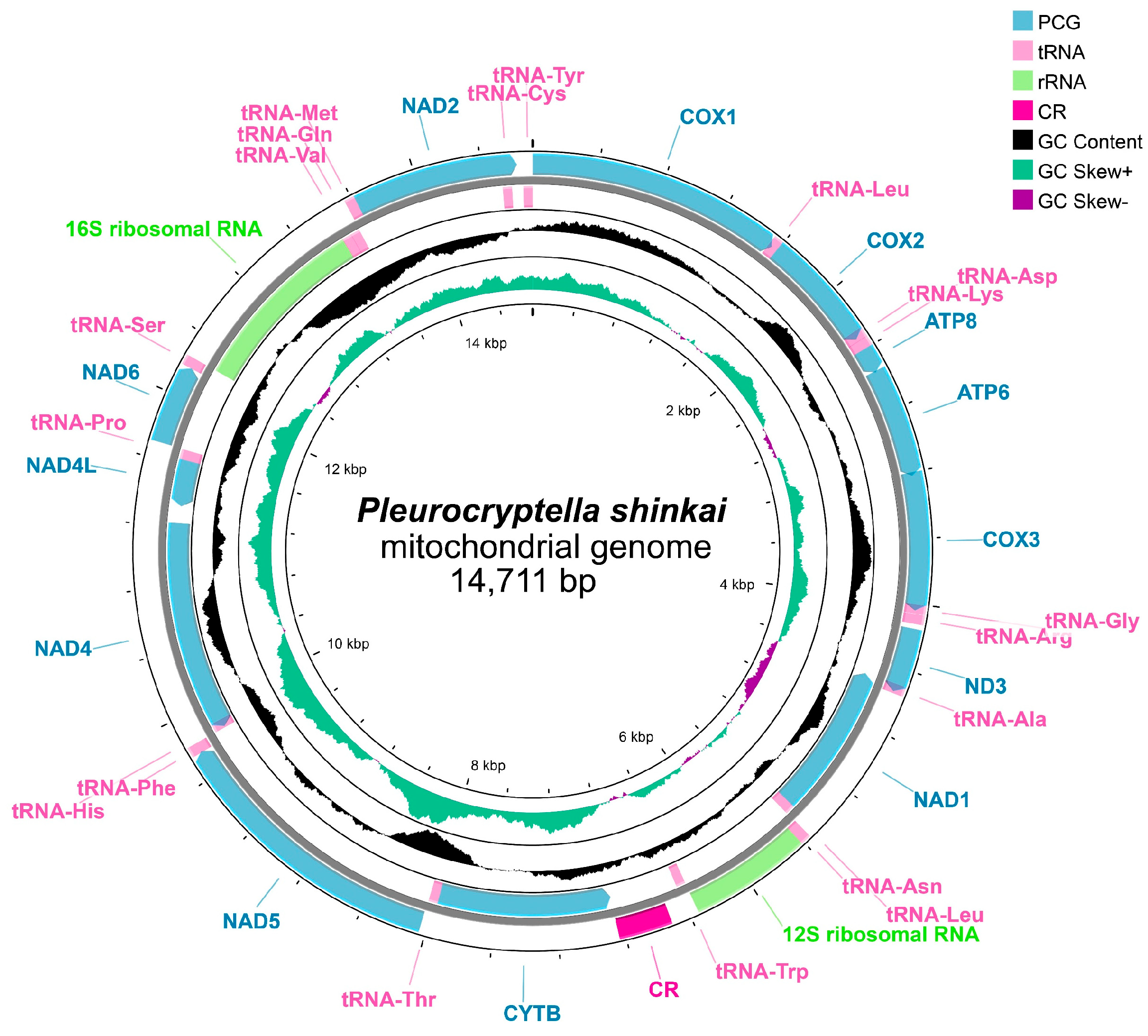 Diversity 17 00498 g003
