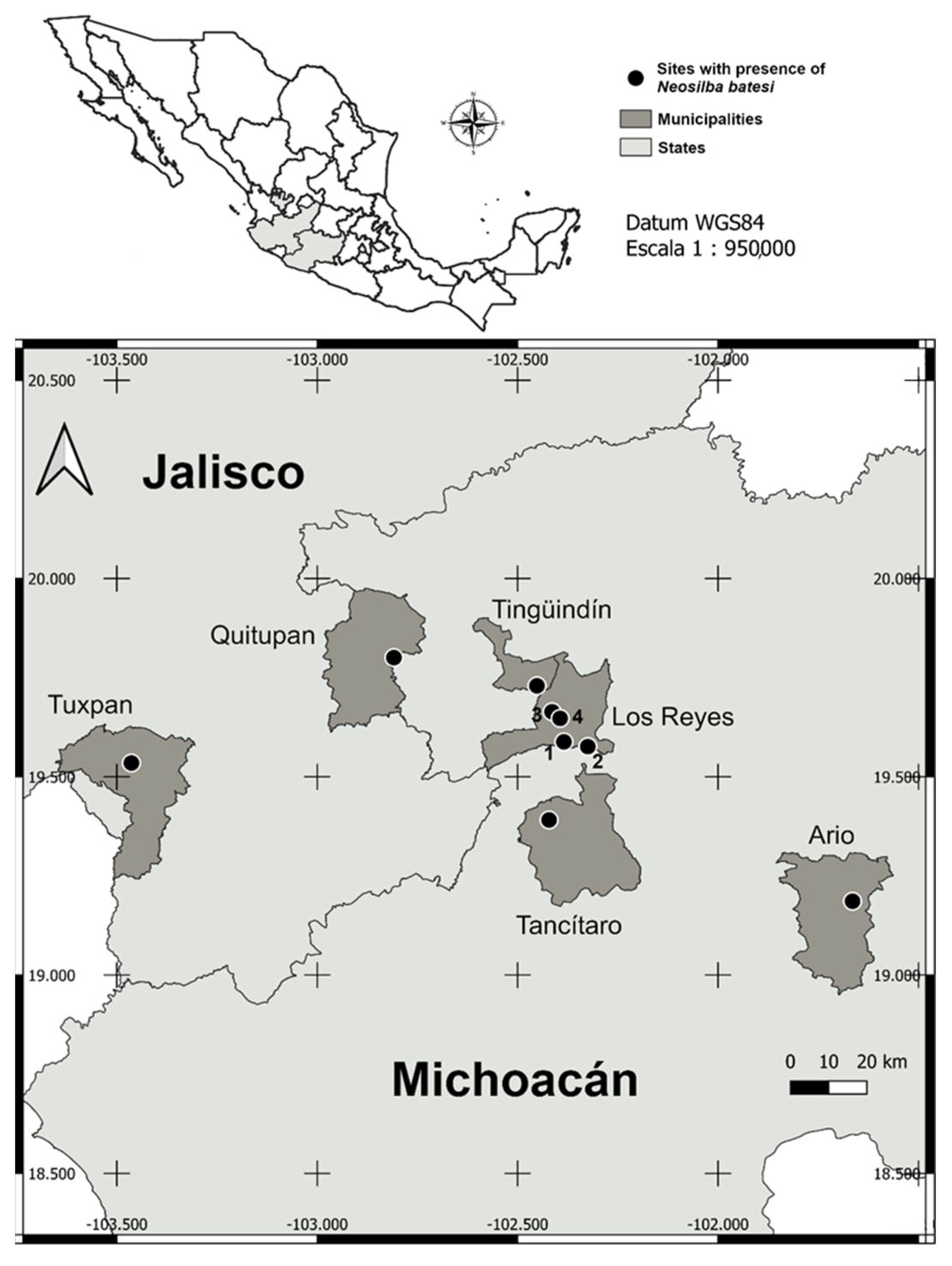 Diversity 17 00499 g003 Diversity 17 00499 g003