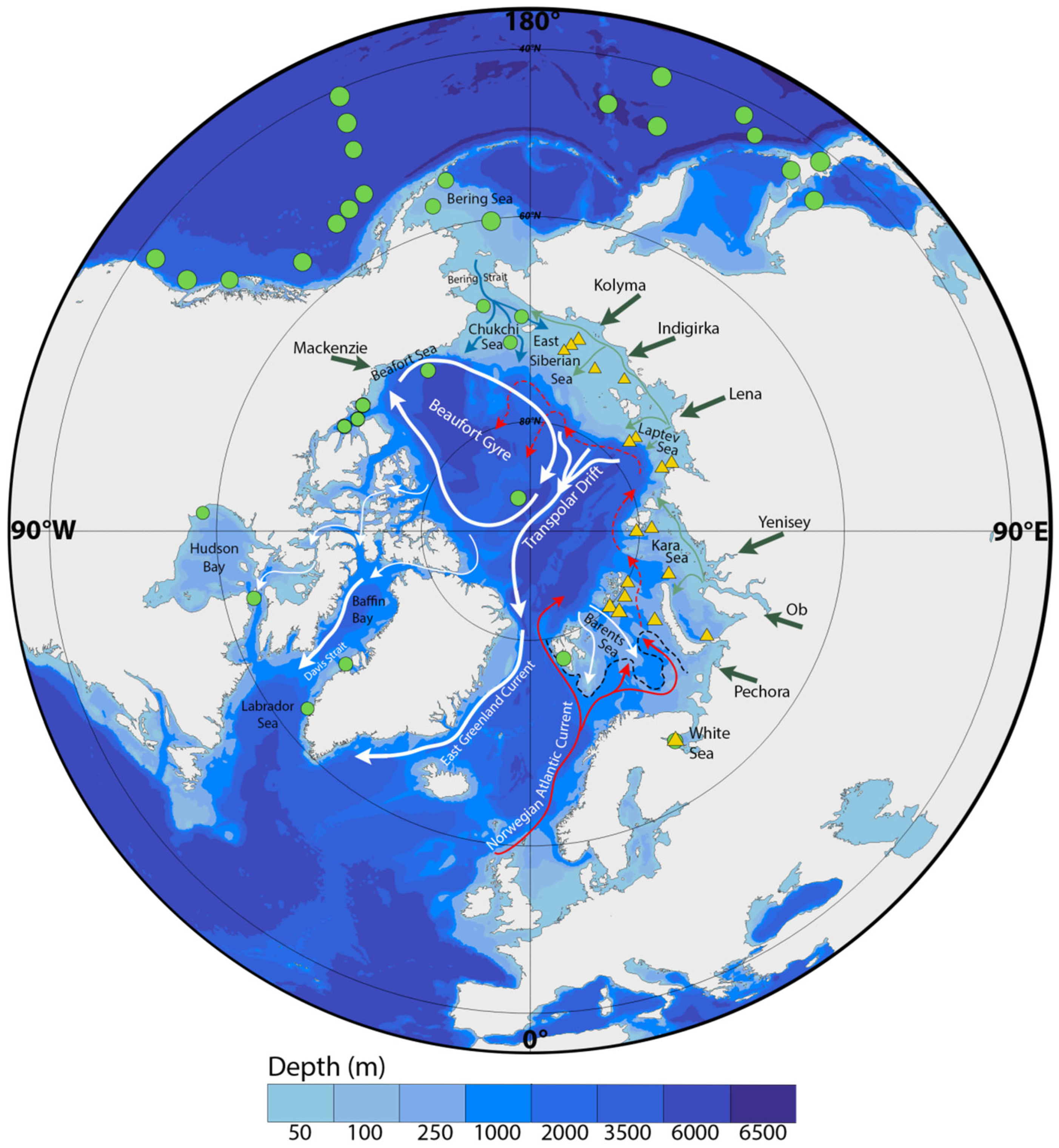 Diversity 17 00522 g001
