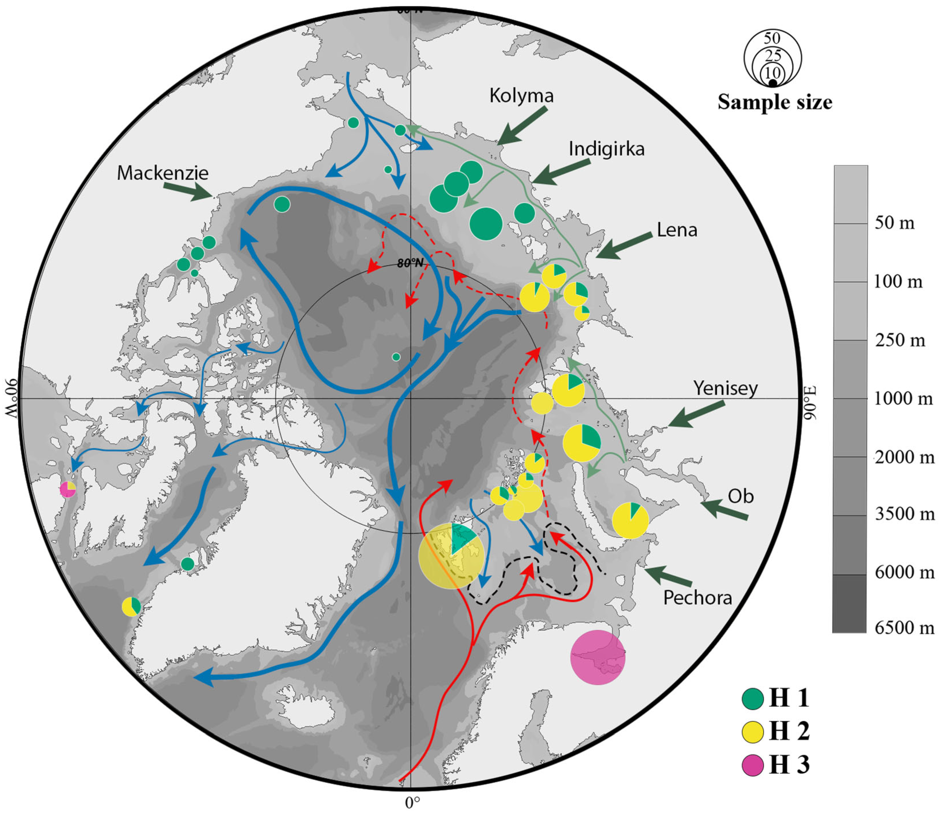 Diversity 17 00522 g004