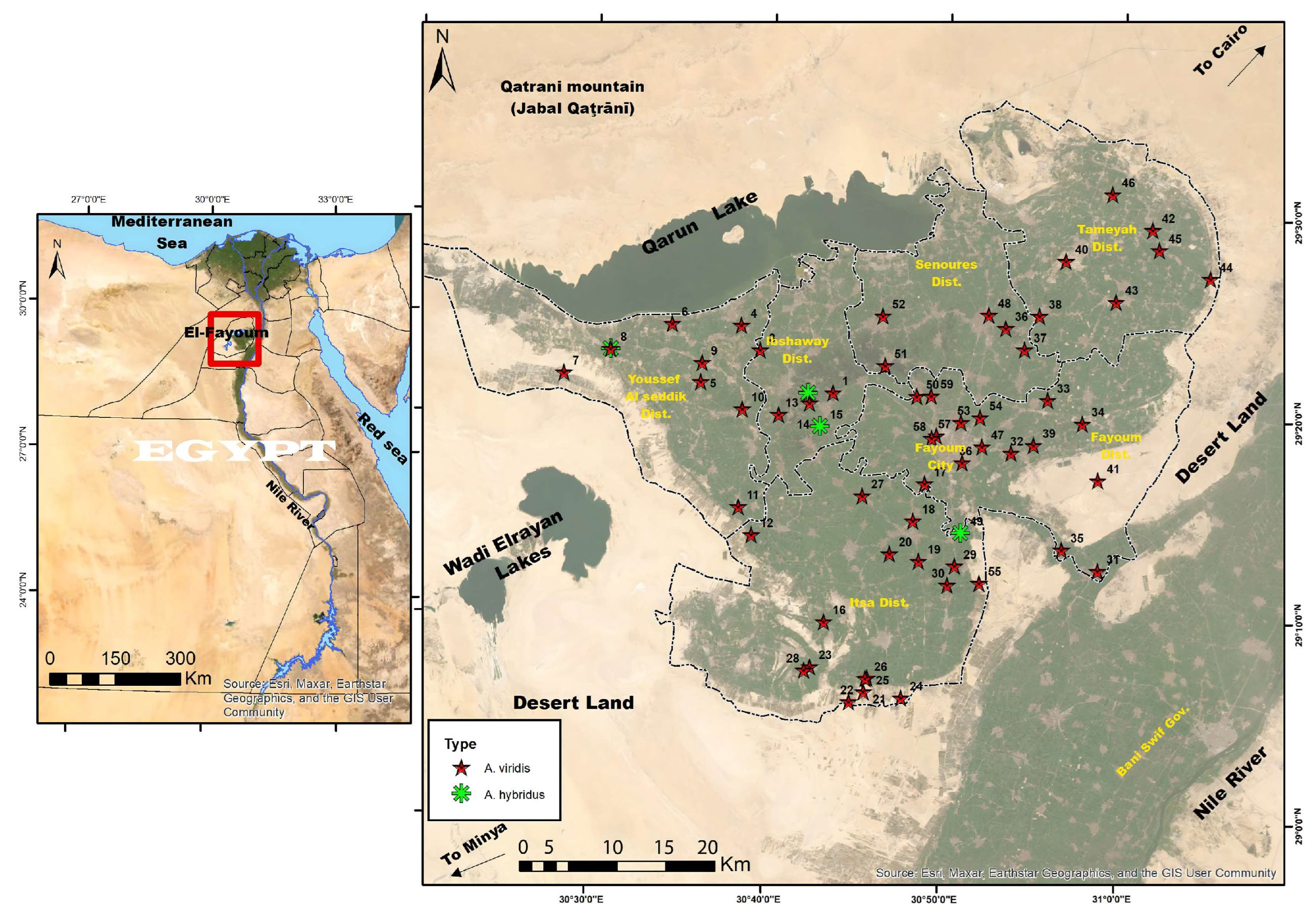 Diversity 17 00551 g002