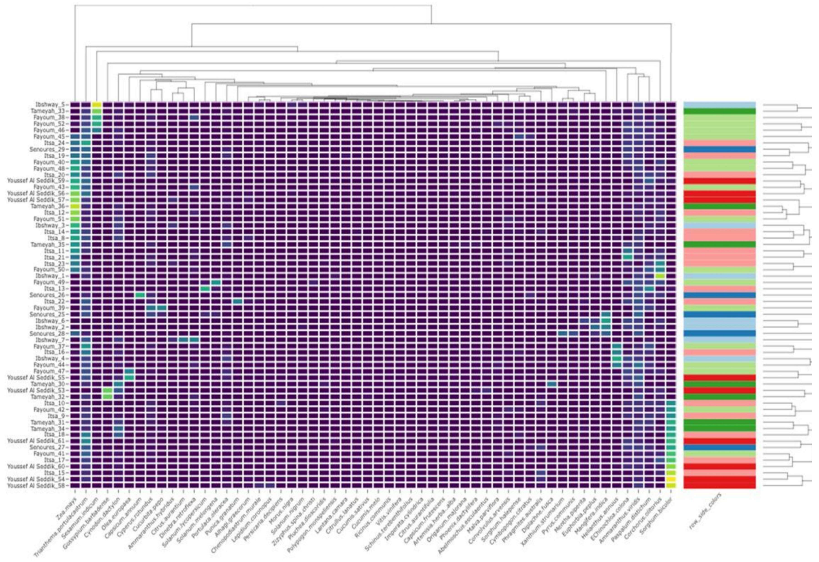 Diversity 17 00551 g005