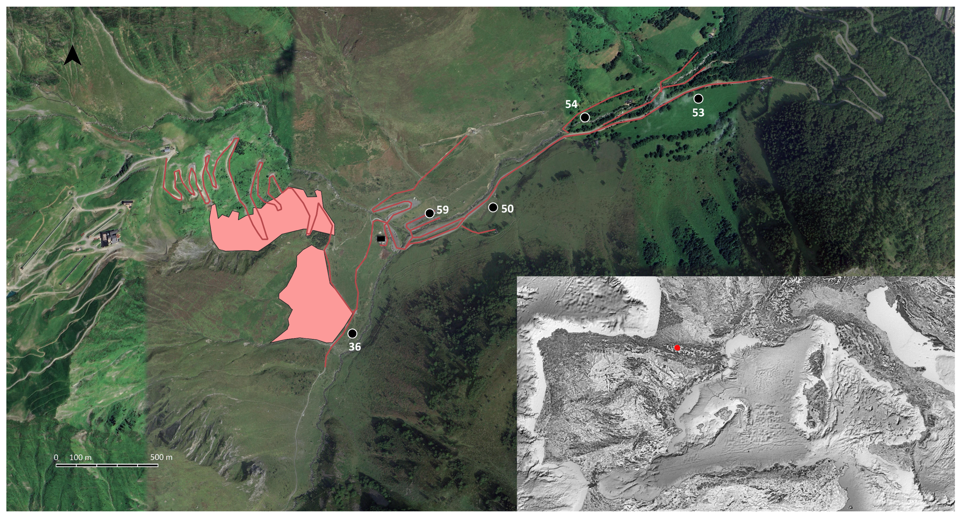 Diversity 17 00554 g001 Diversity 17 00554 g001