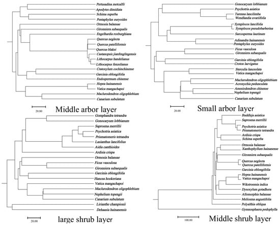 Diversity 17 00556 g0a2