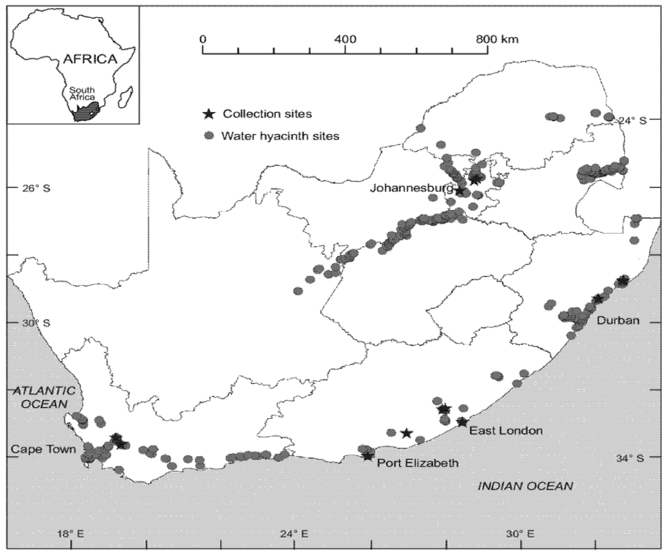 Diversity 17 00564 g003