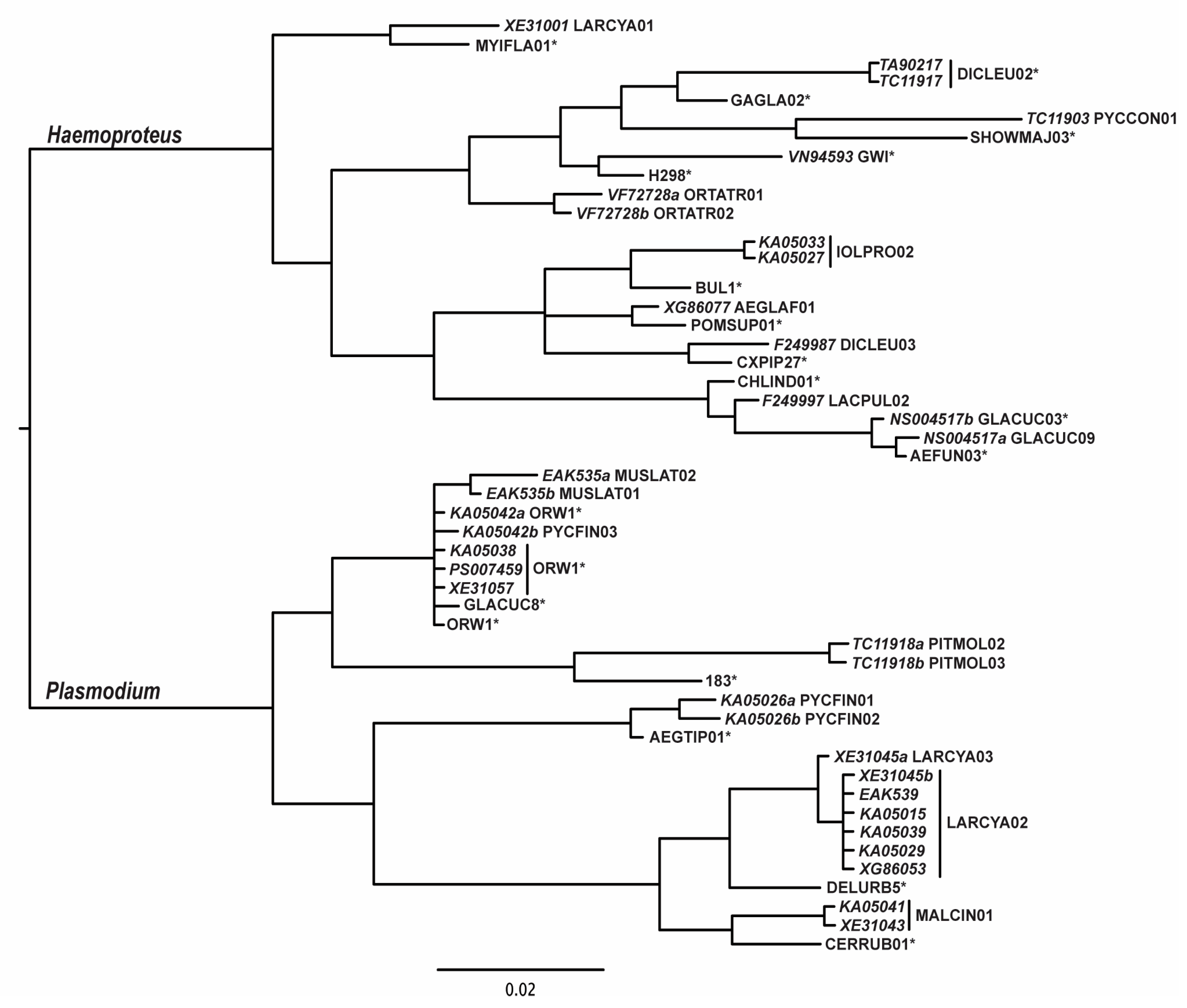 Diversity 17 00568 g001