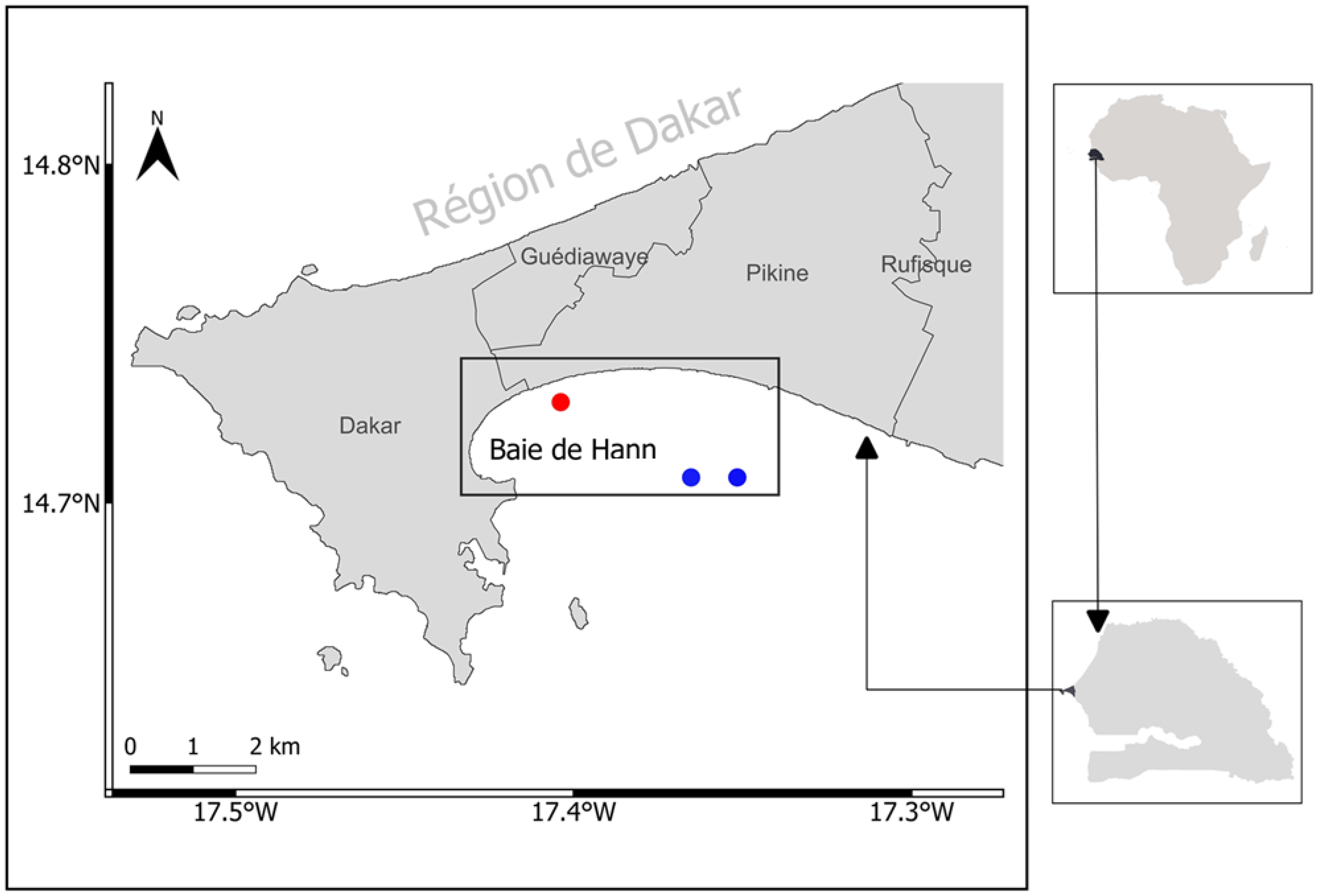 Diversity 17 00608 g001