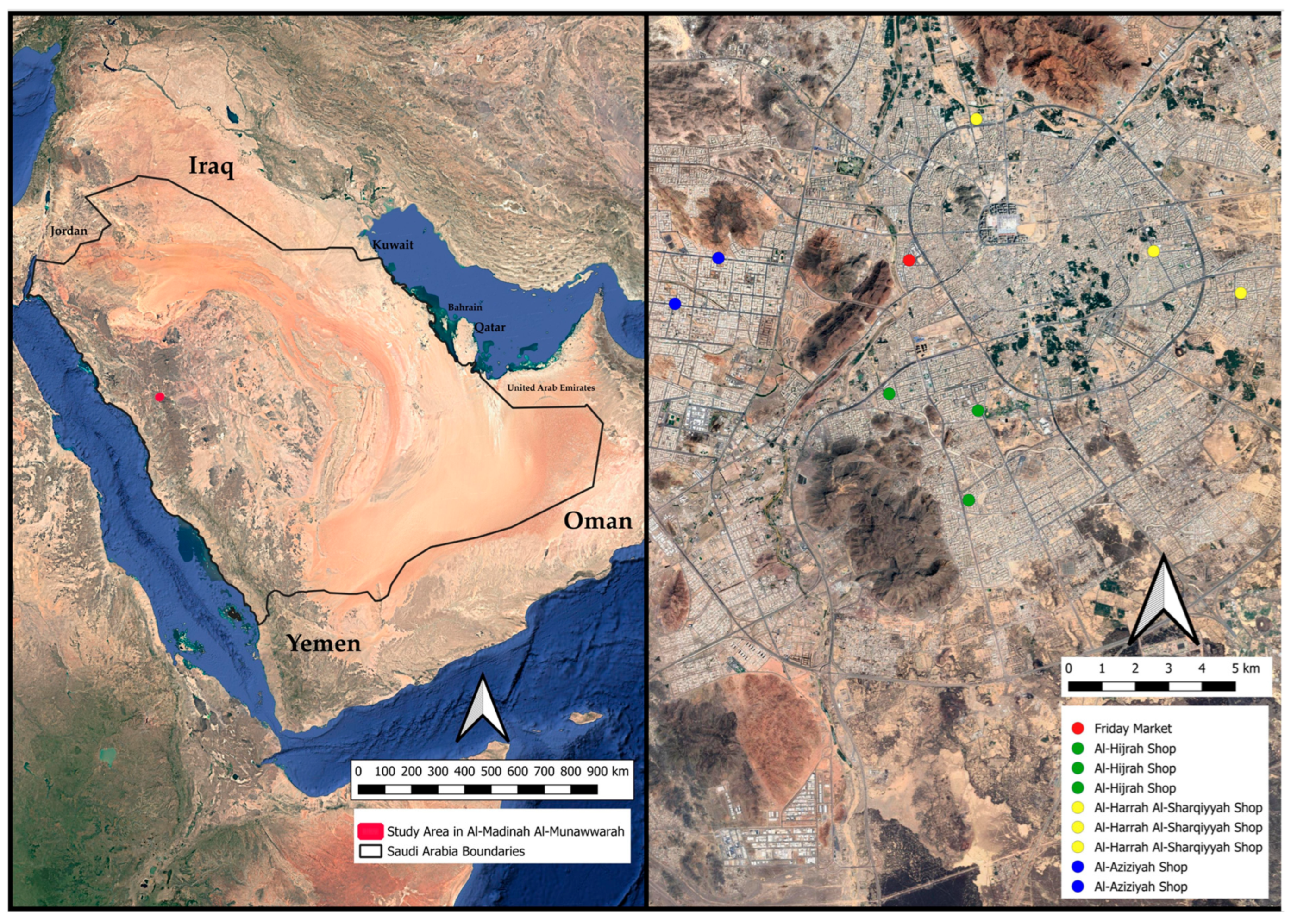 Diversity 17 00615 g001