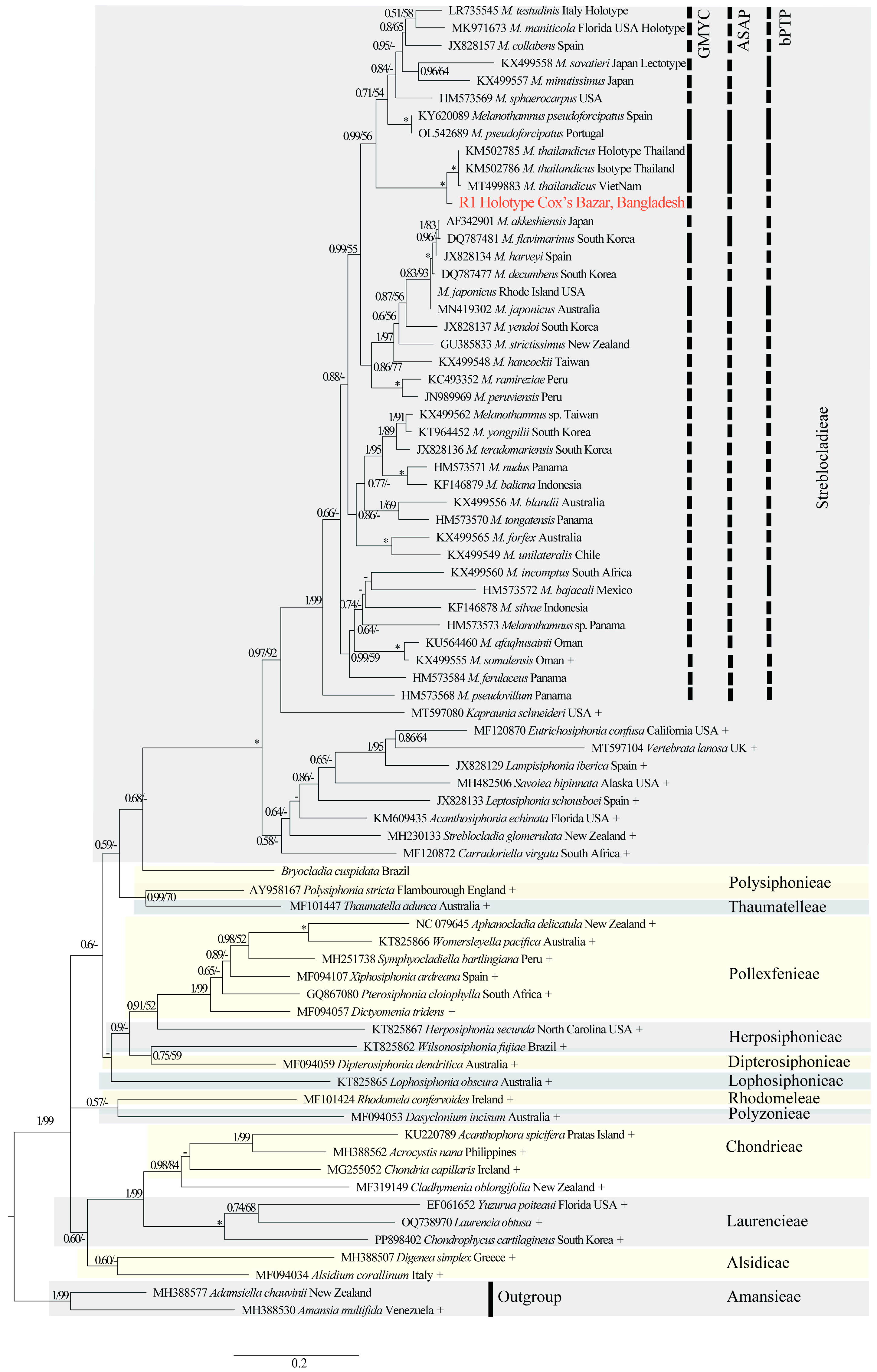 Diversity 17 00623 g001