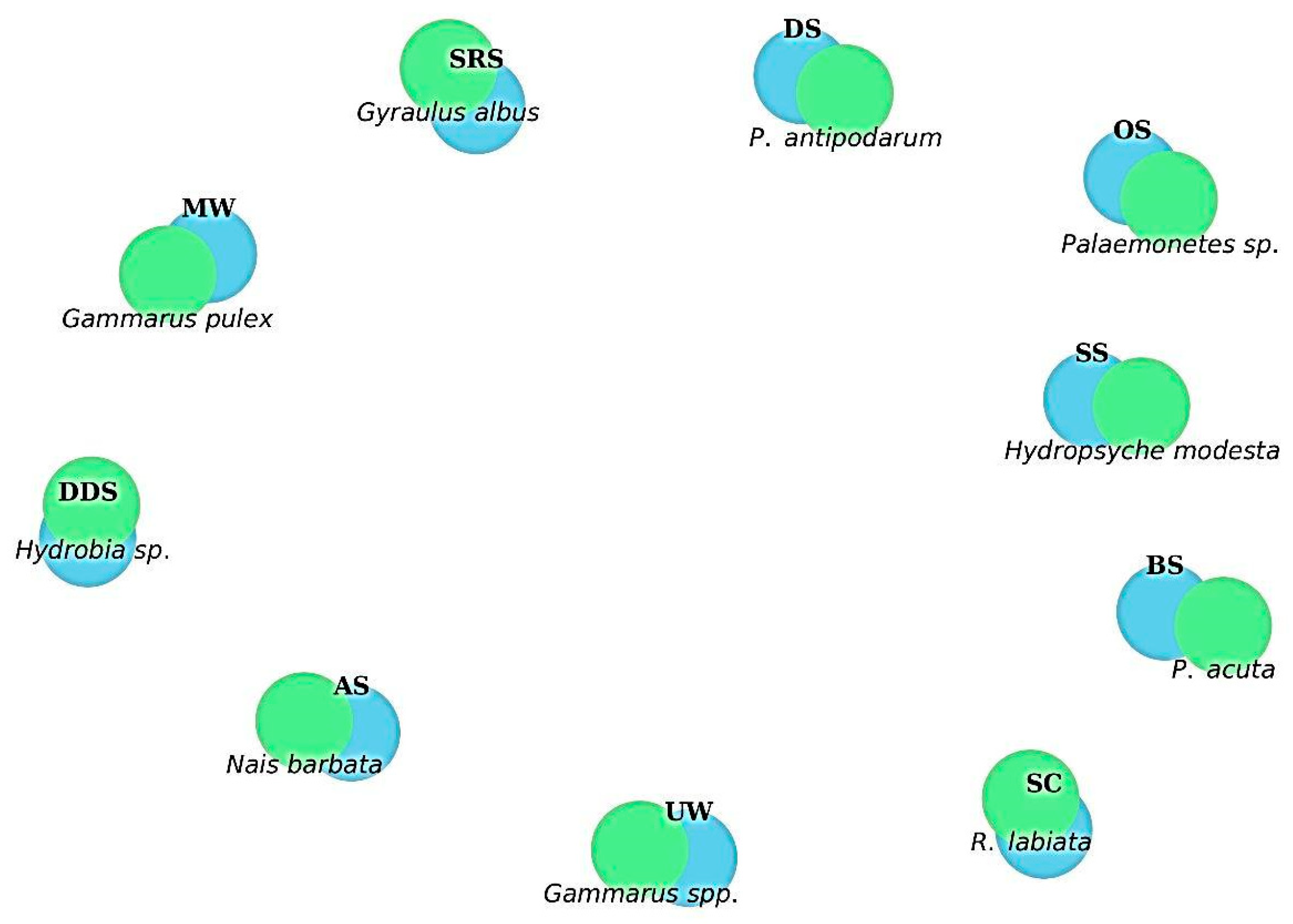 Diversity 17 00624 g006