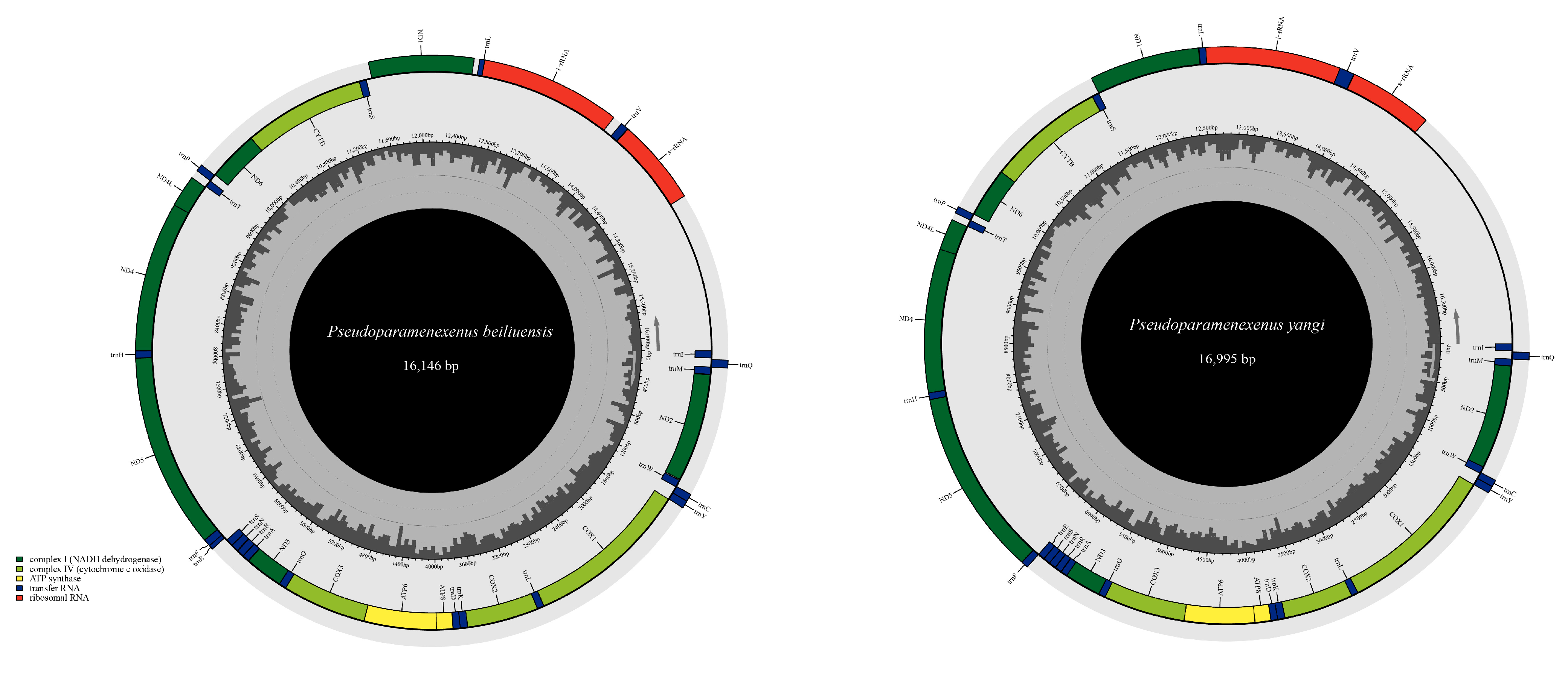 Diversity 17 00637 g003