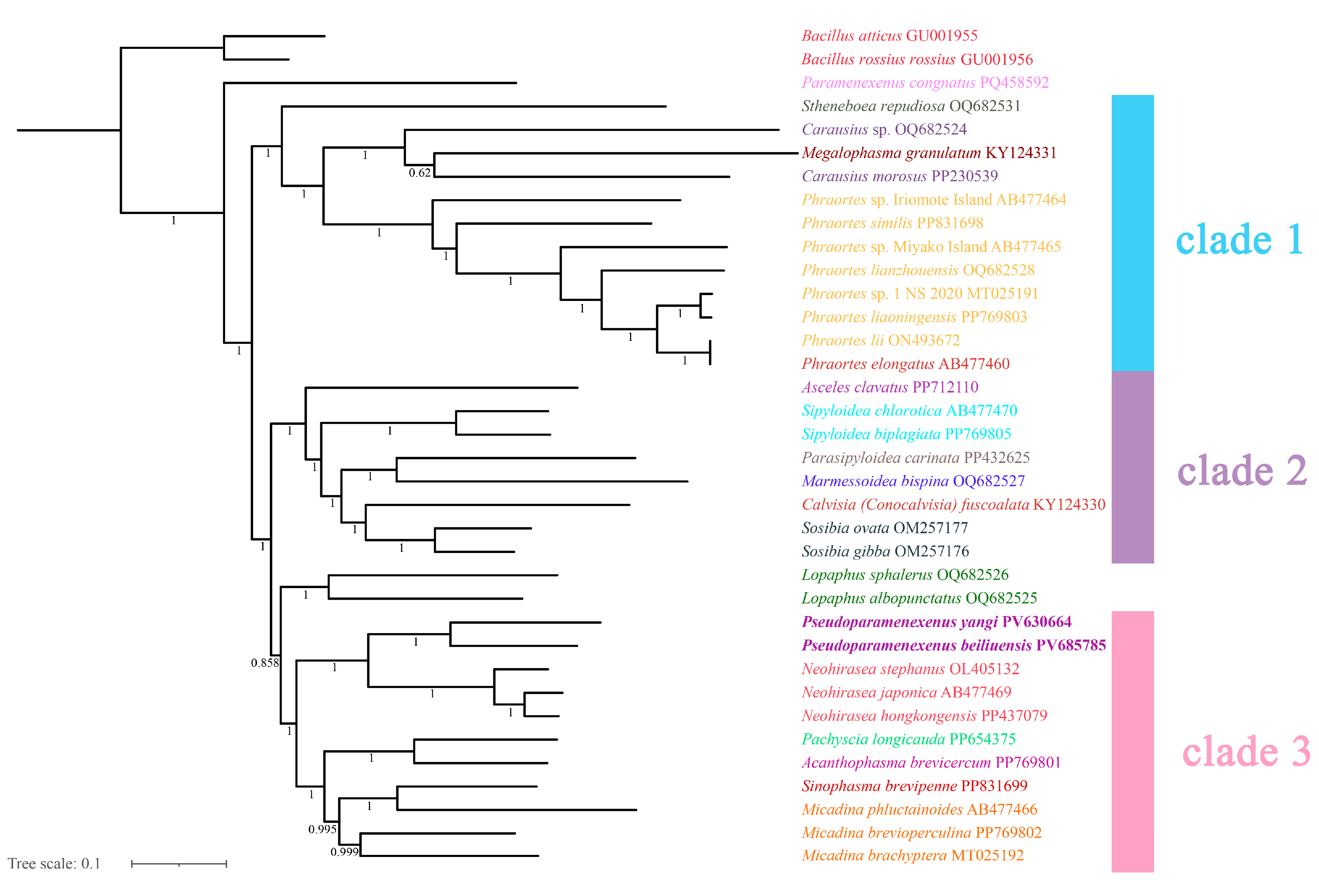 Diversity 17 00637 g009