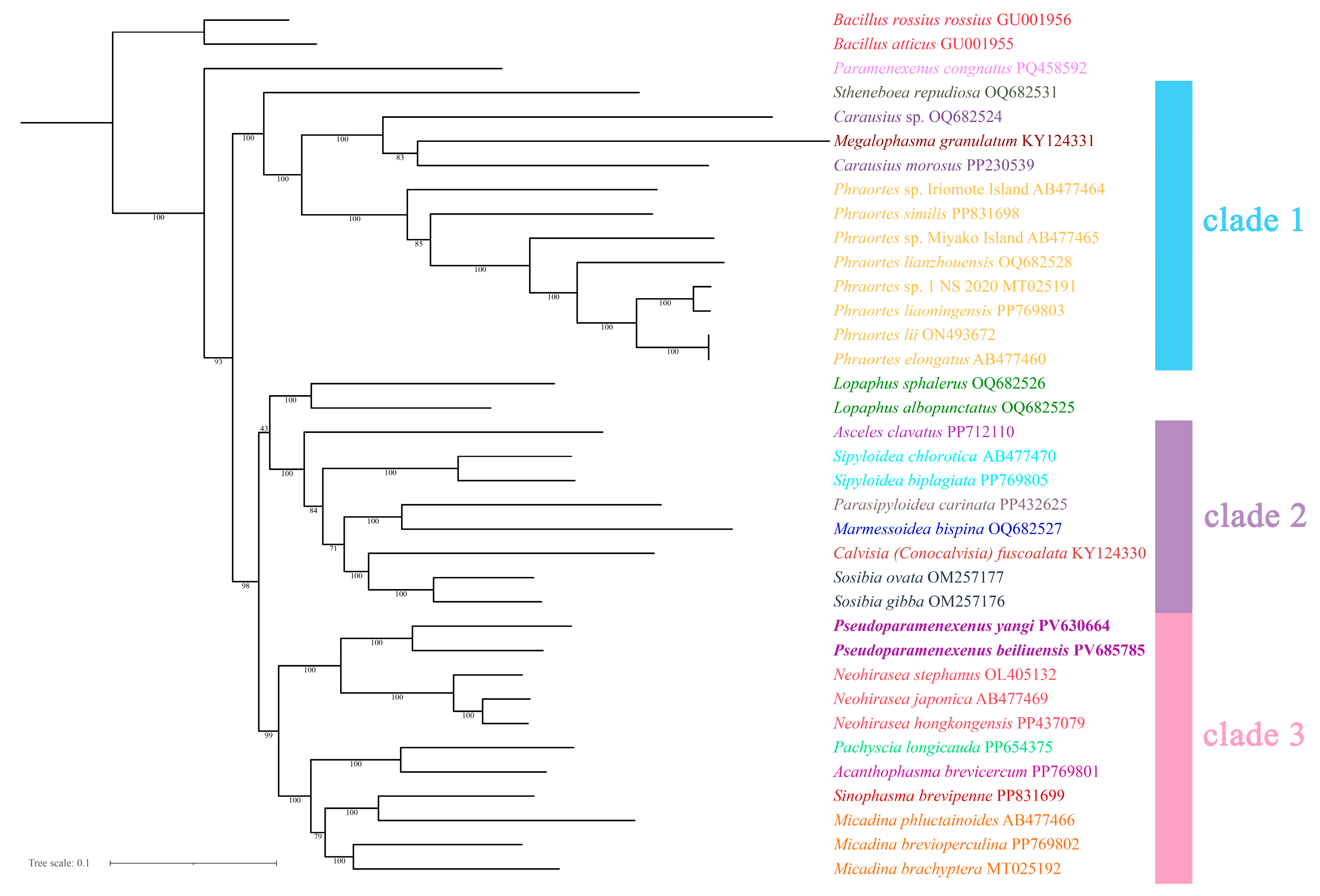 Diversity 17 00637 g010