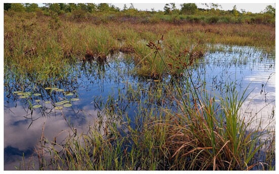 Diversity 17 00644 g009