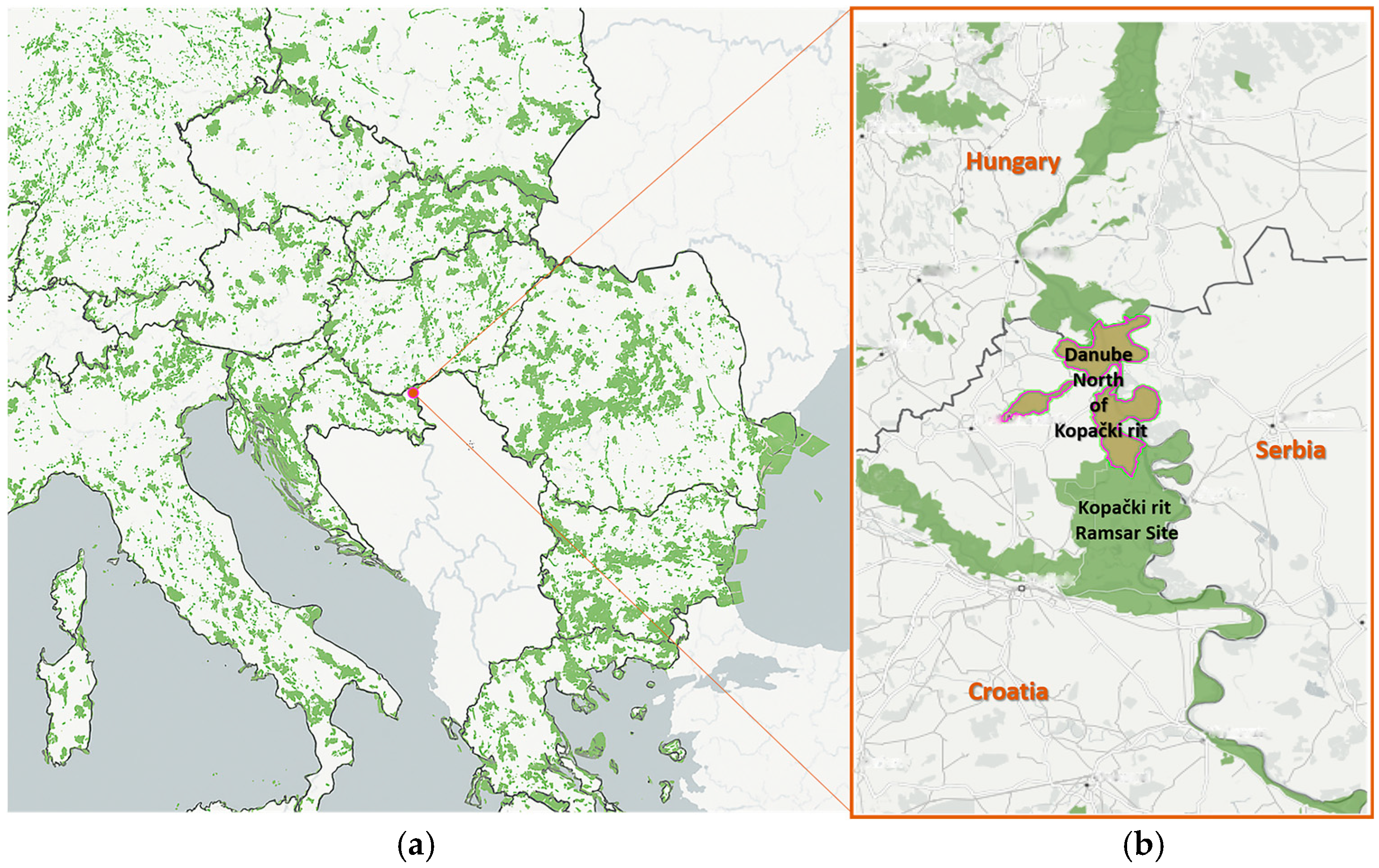 Diversity 17 00669 g001