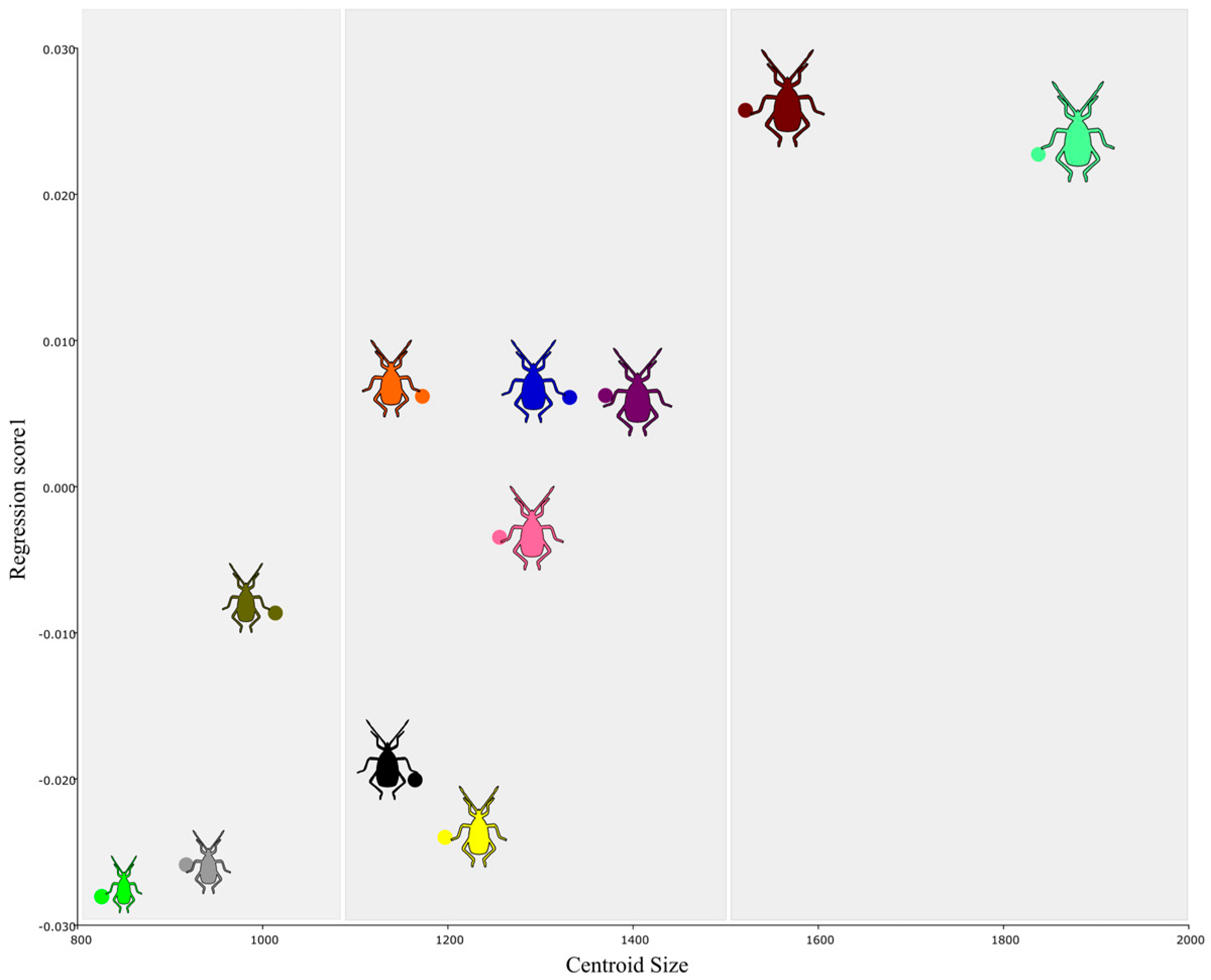 Diversity 17 00680 g006