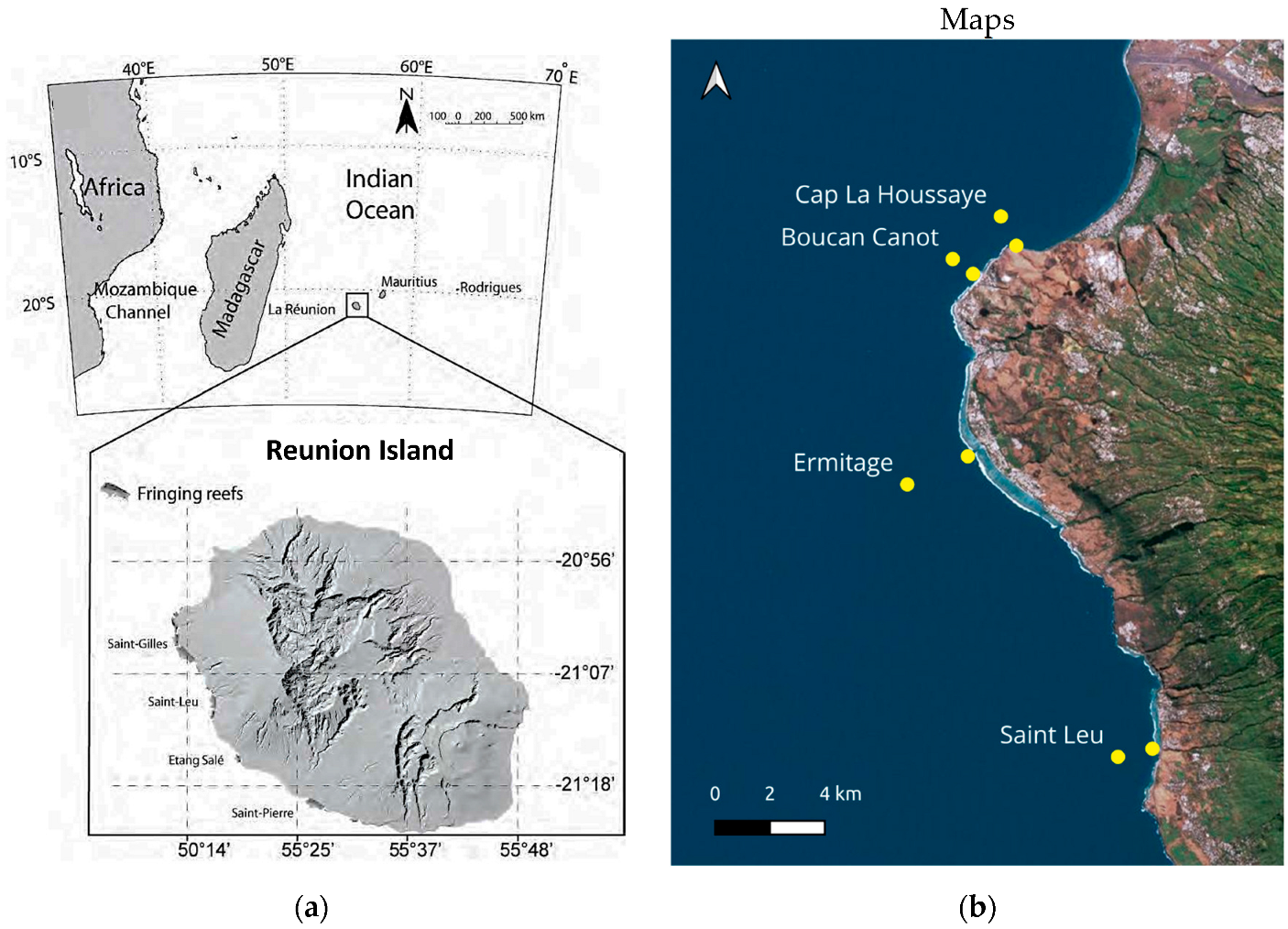 Diversity 17 00694 g001