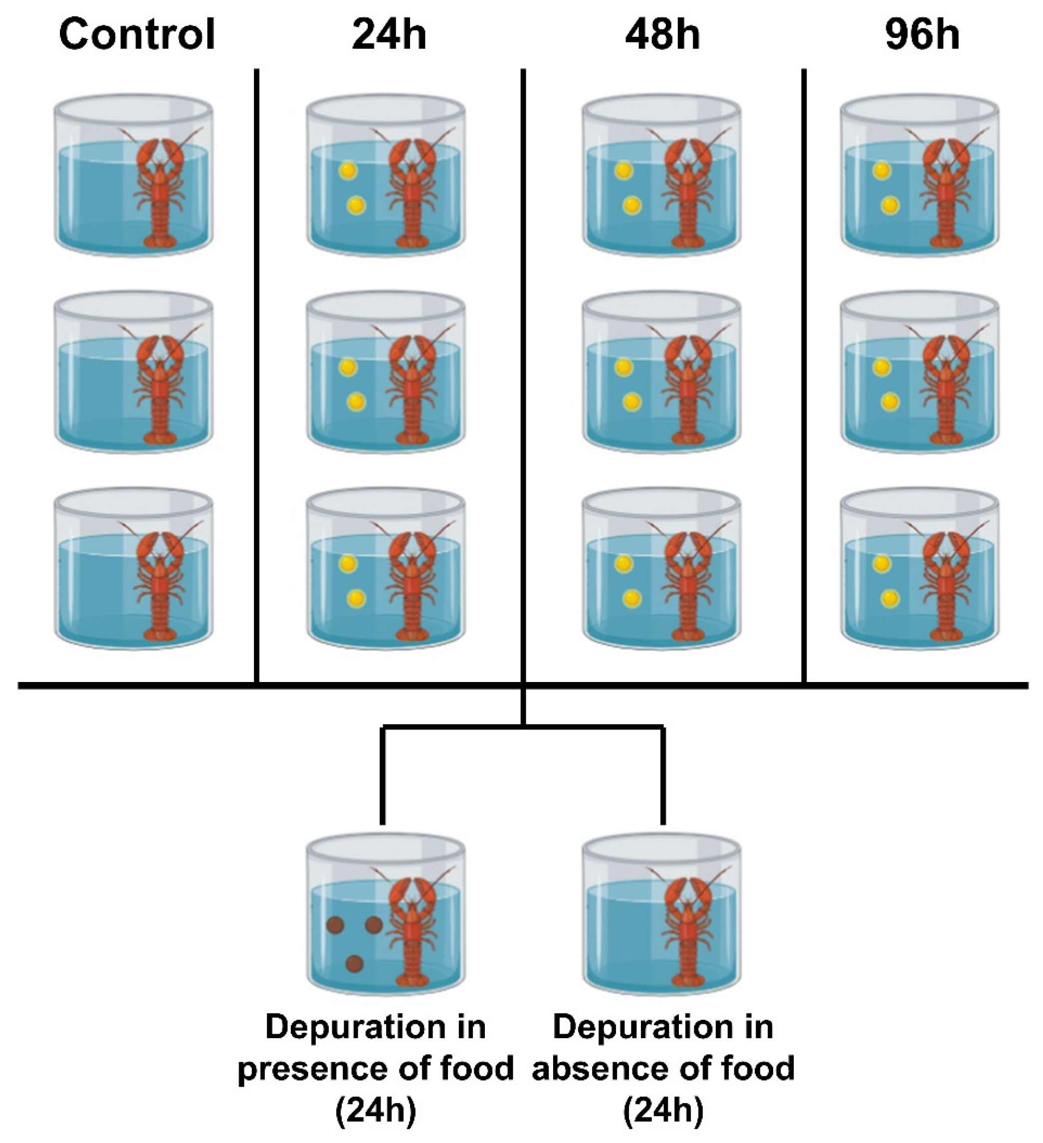 Diversity 17 00701 g002