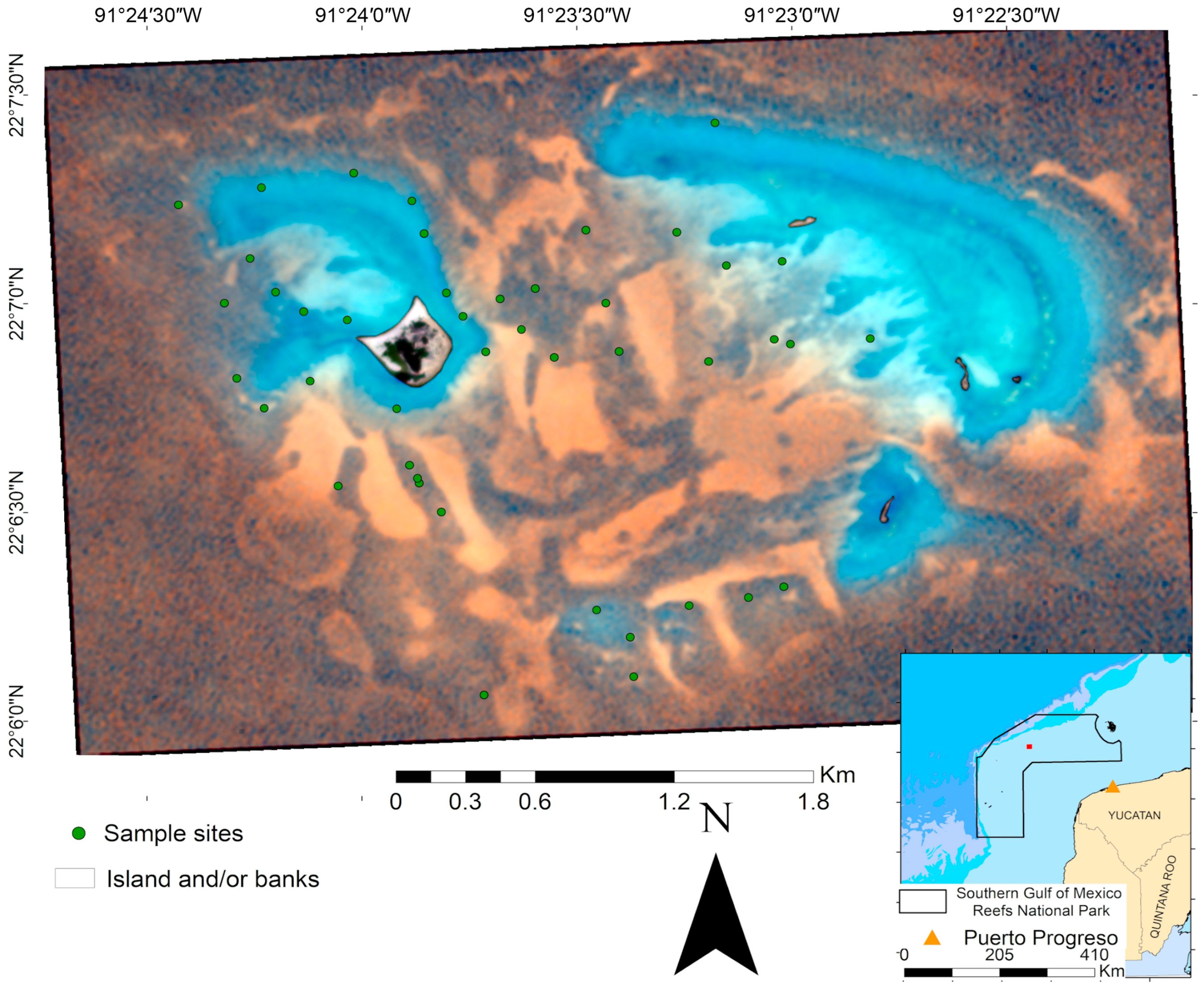 Diversity 17 00708 g001