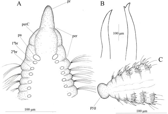 Diversity 17 00724 g003