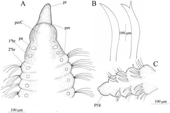 Diversity 17 00724 g006