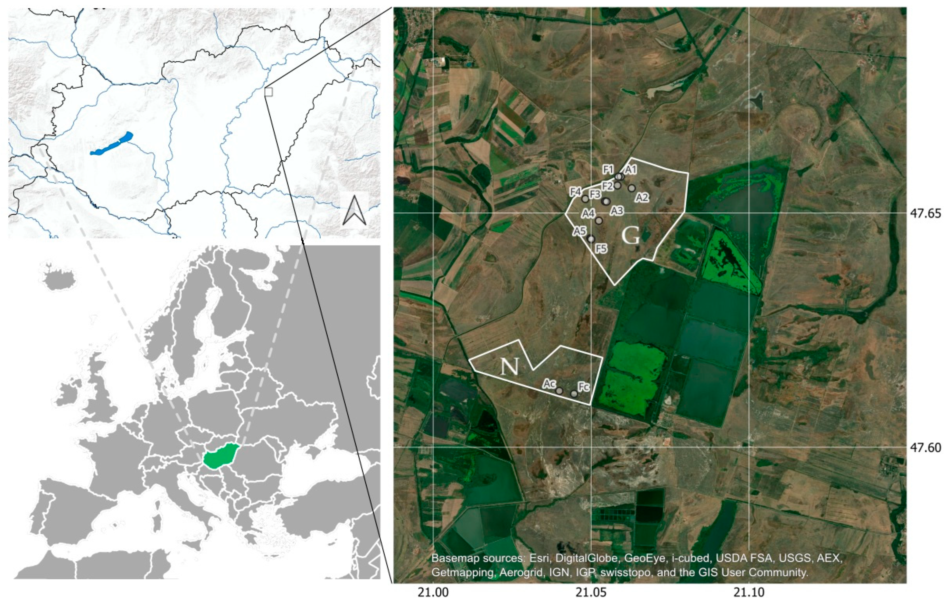 Diversity 17 00741 g001