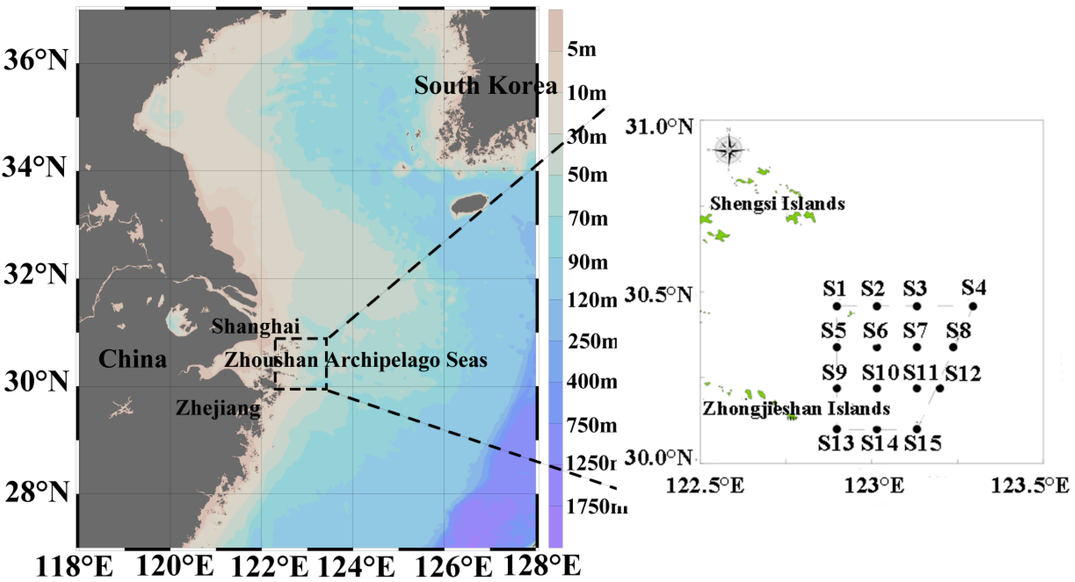 Diversity 17 00744 g001