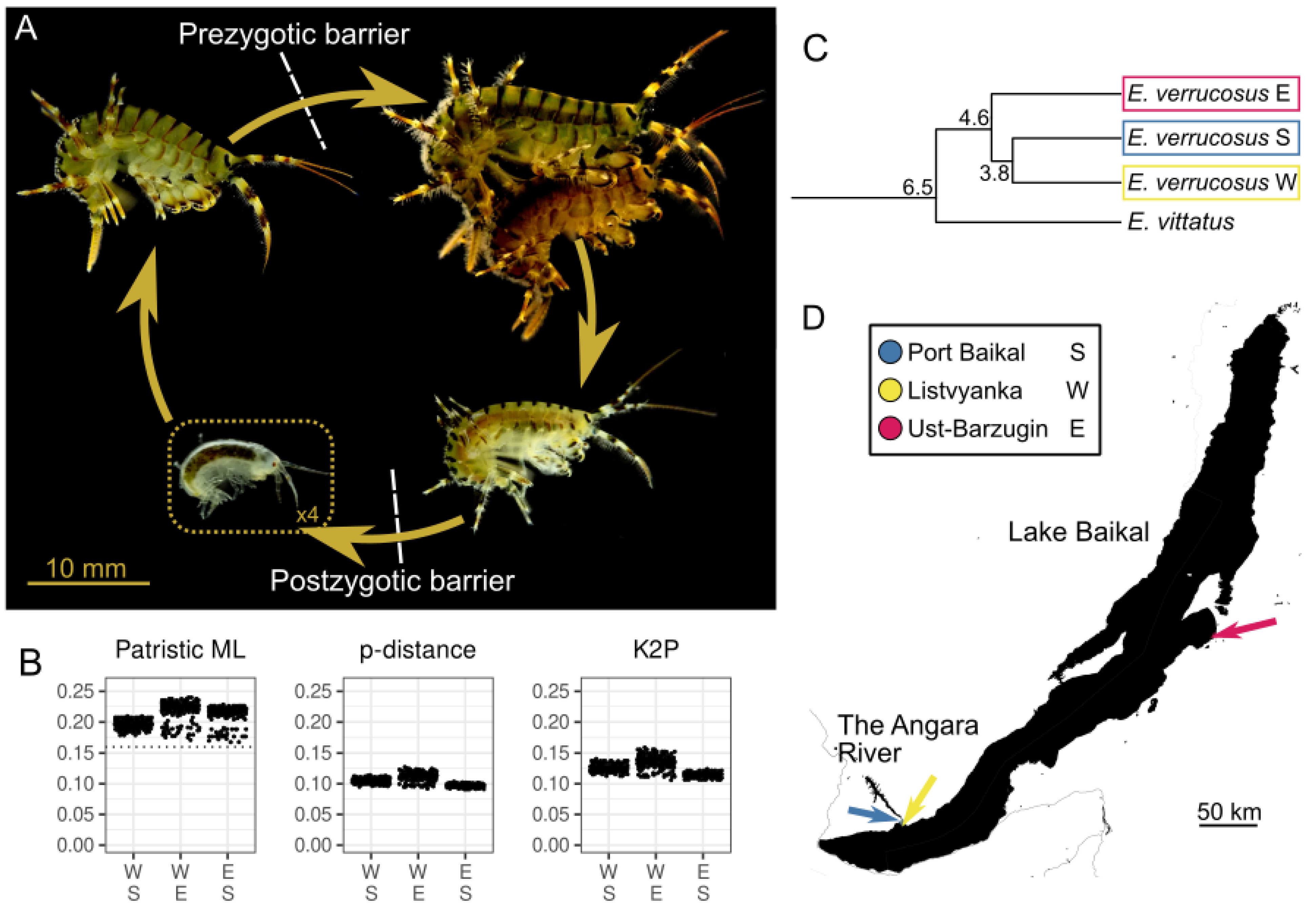 Diversity 17 00781 g001