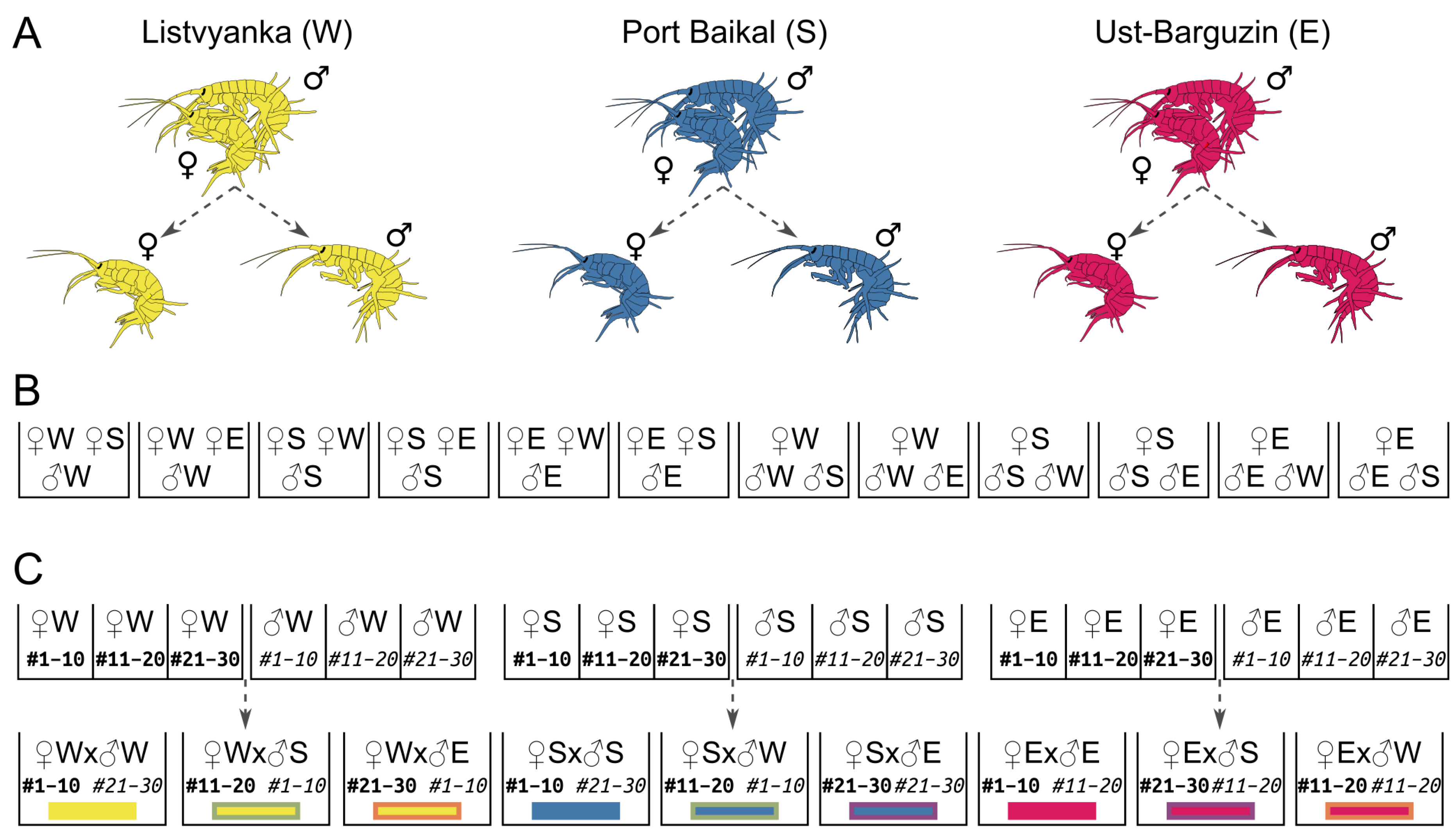 Diversity 17 00781 g002