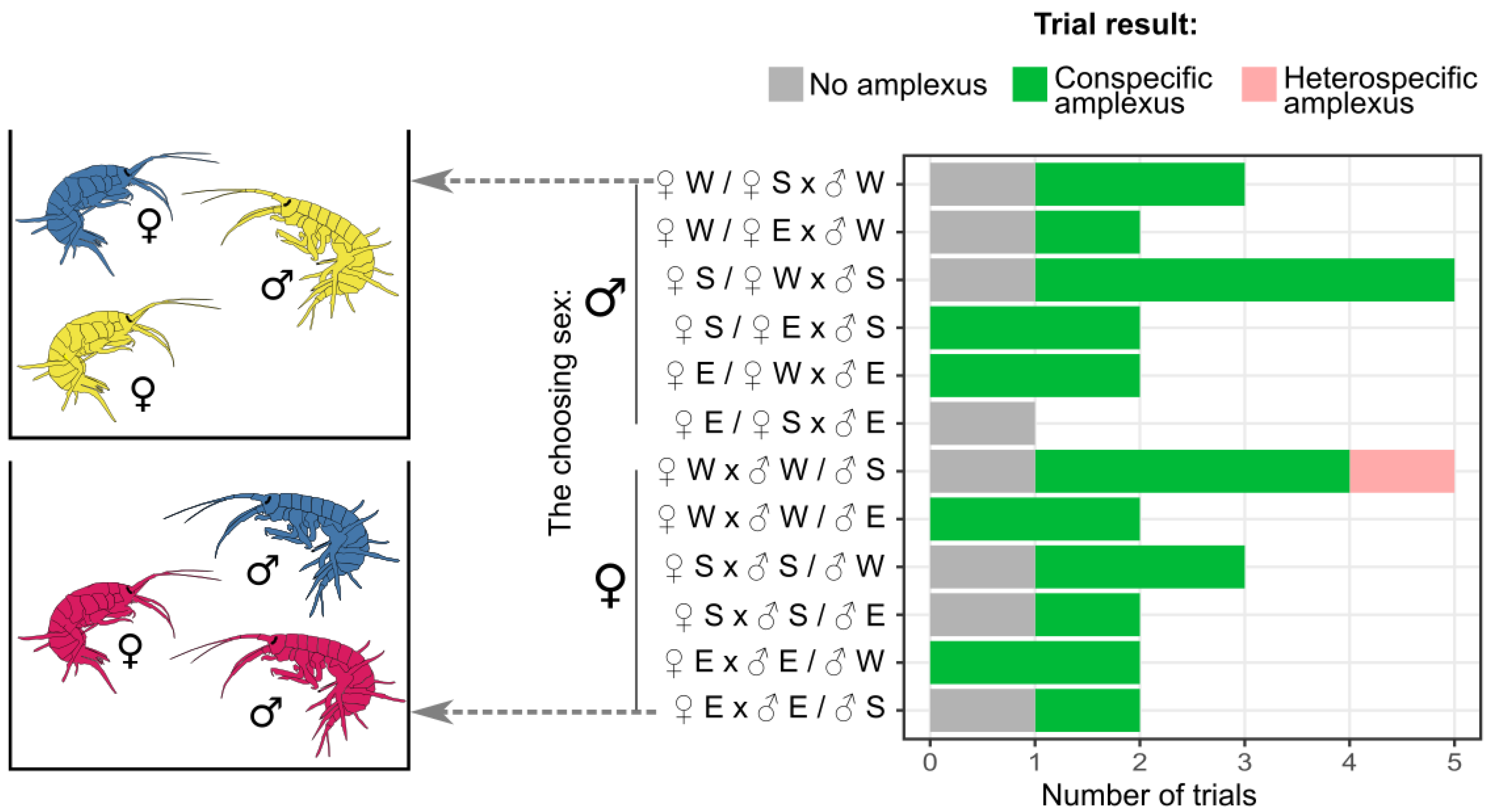 Diversity 17 00781 g004