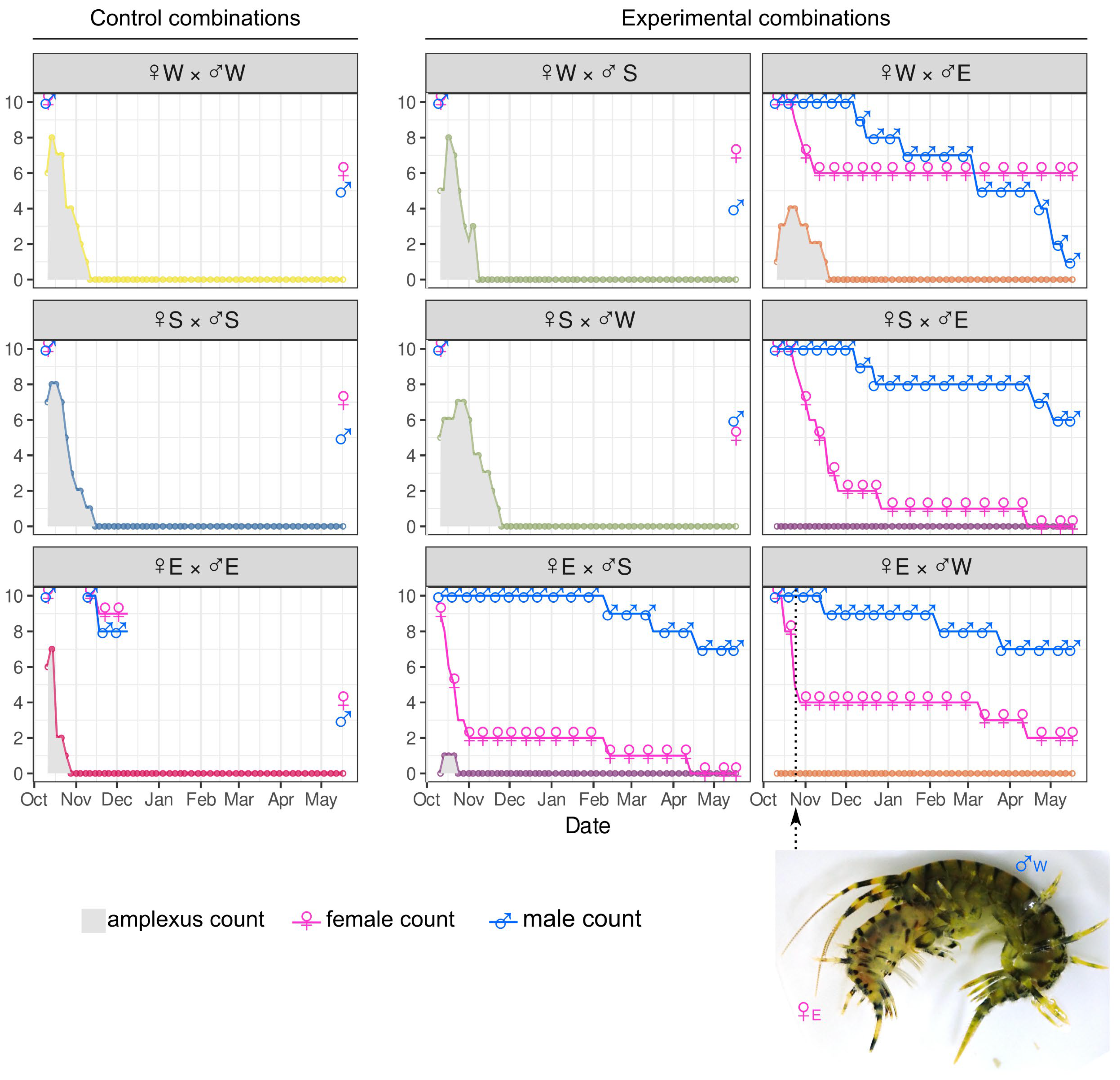 Diversity 17 00781 g005