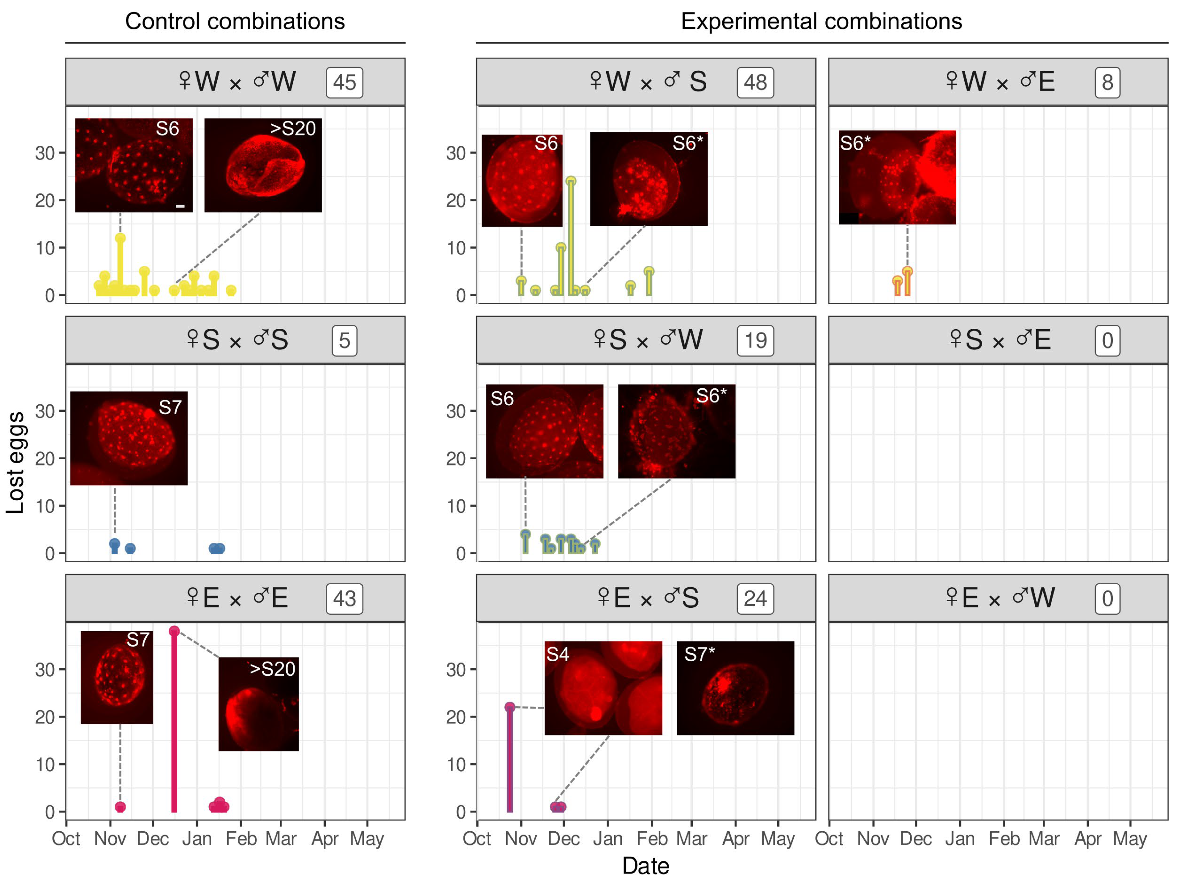 Diversity 17 00781 g007