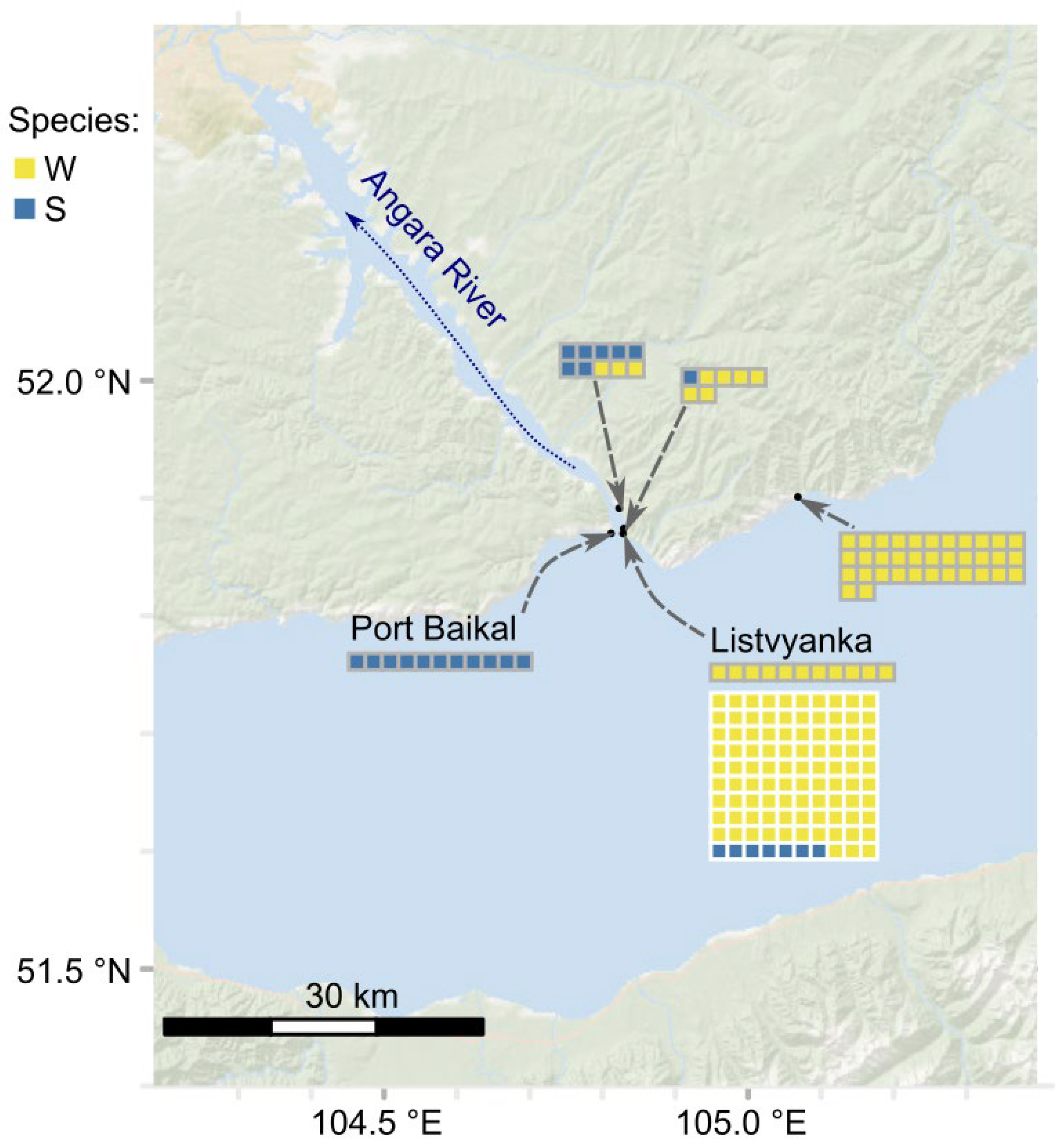 Diversity 17 00781 g009