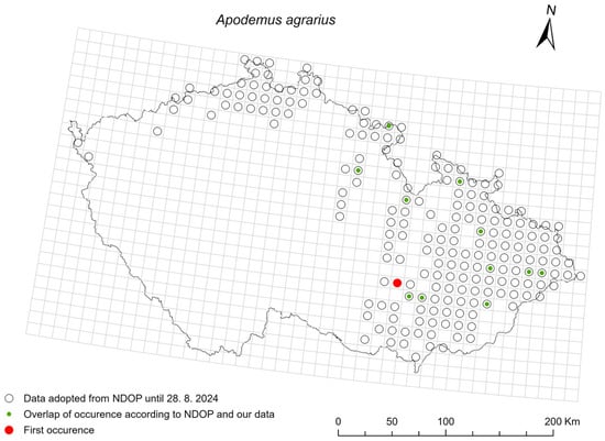 Diversity 17 00815 g001