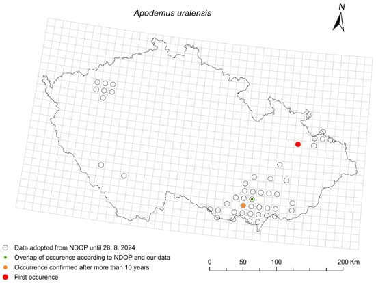 Diversity 17 00815 g002