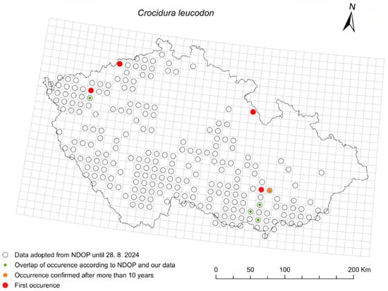 Diversity 17 00815 g004