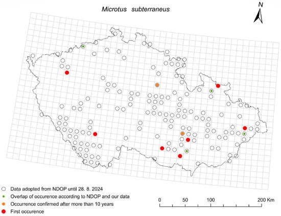 Diversity 17 00815 g008