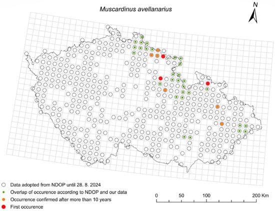 Diversity 17 00815 g009
