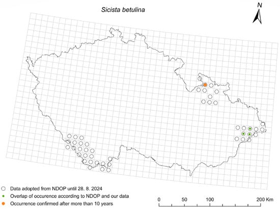 Diversity 17 00815 g012