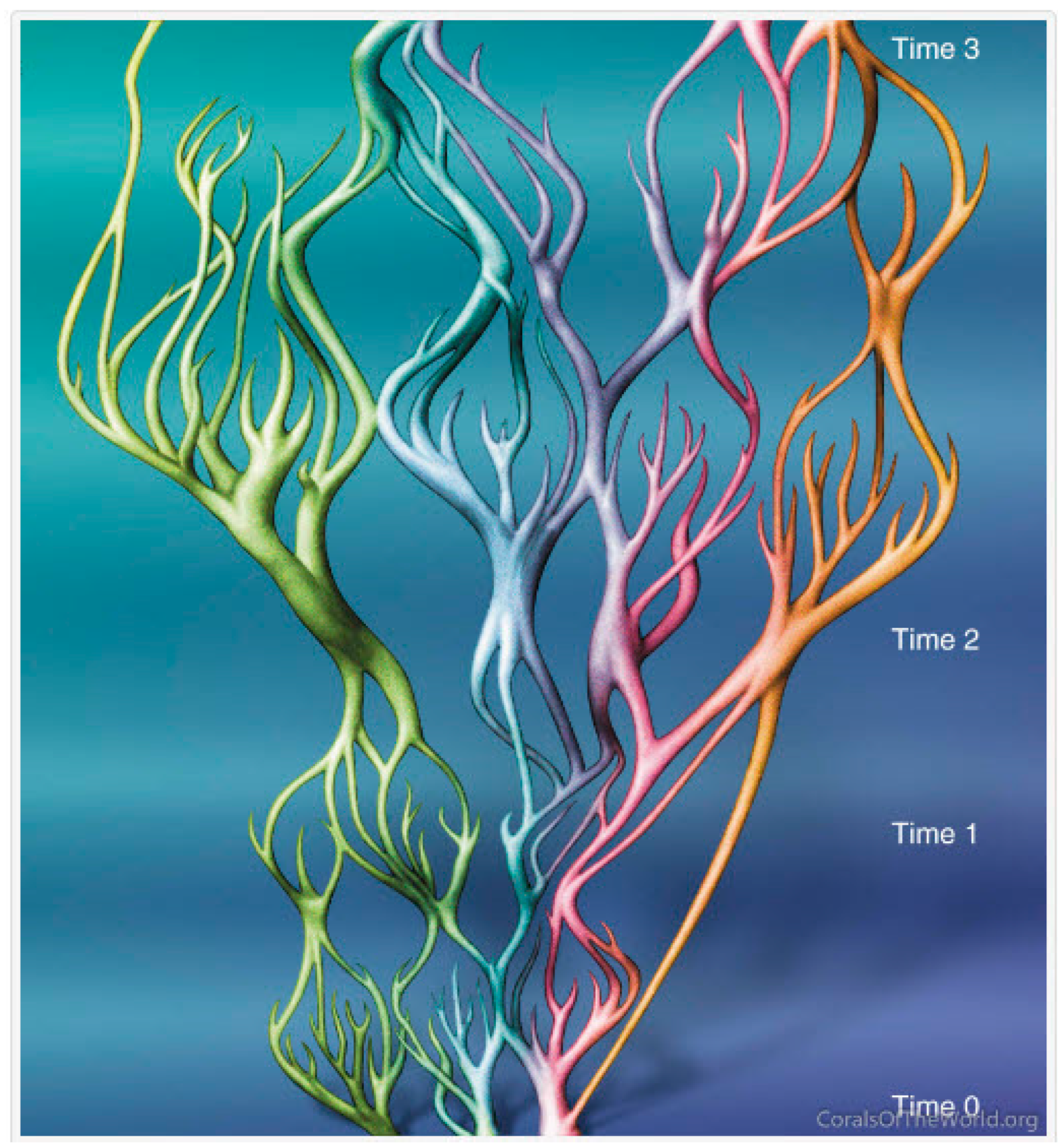 Diversity 17 00823 g001