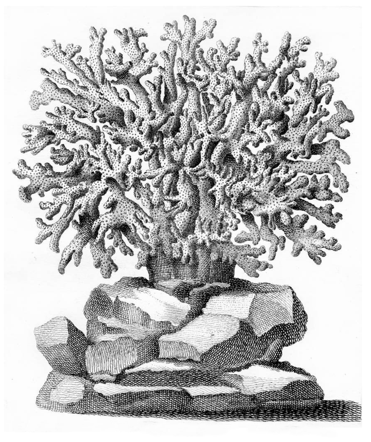 Diversity 17 00823 g003