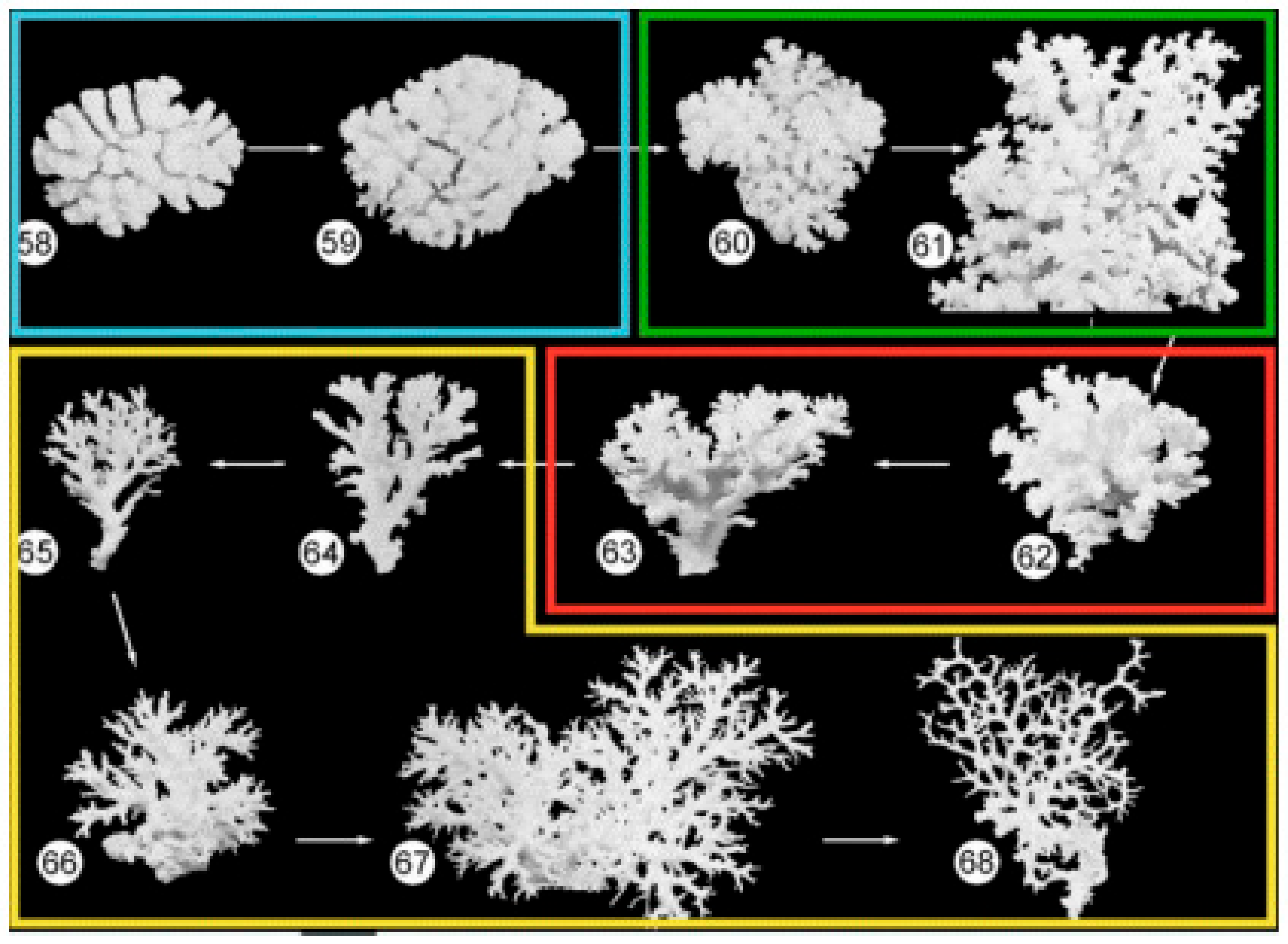 Diversity 17 00823 g005