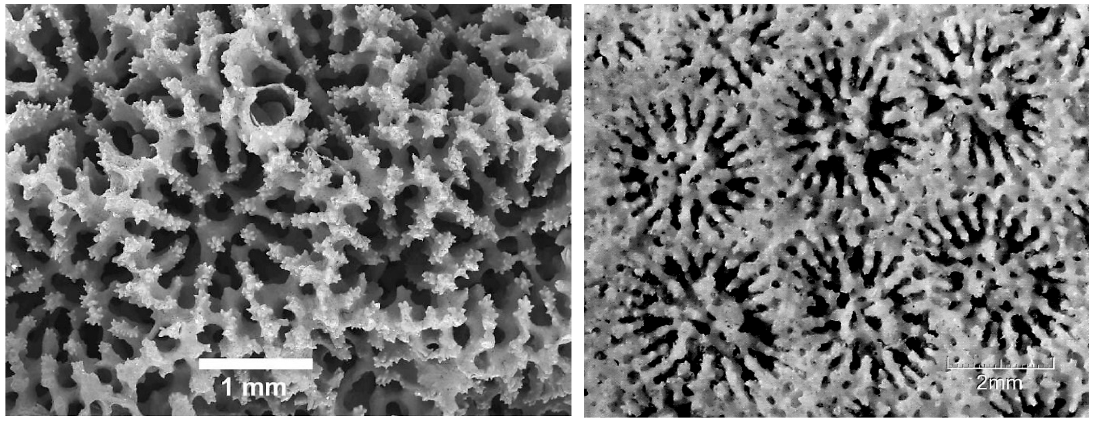 Diversity 17 00823 g044