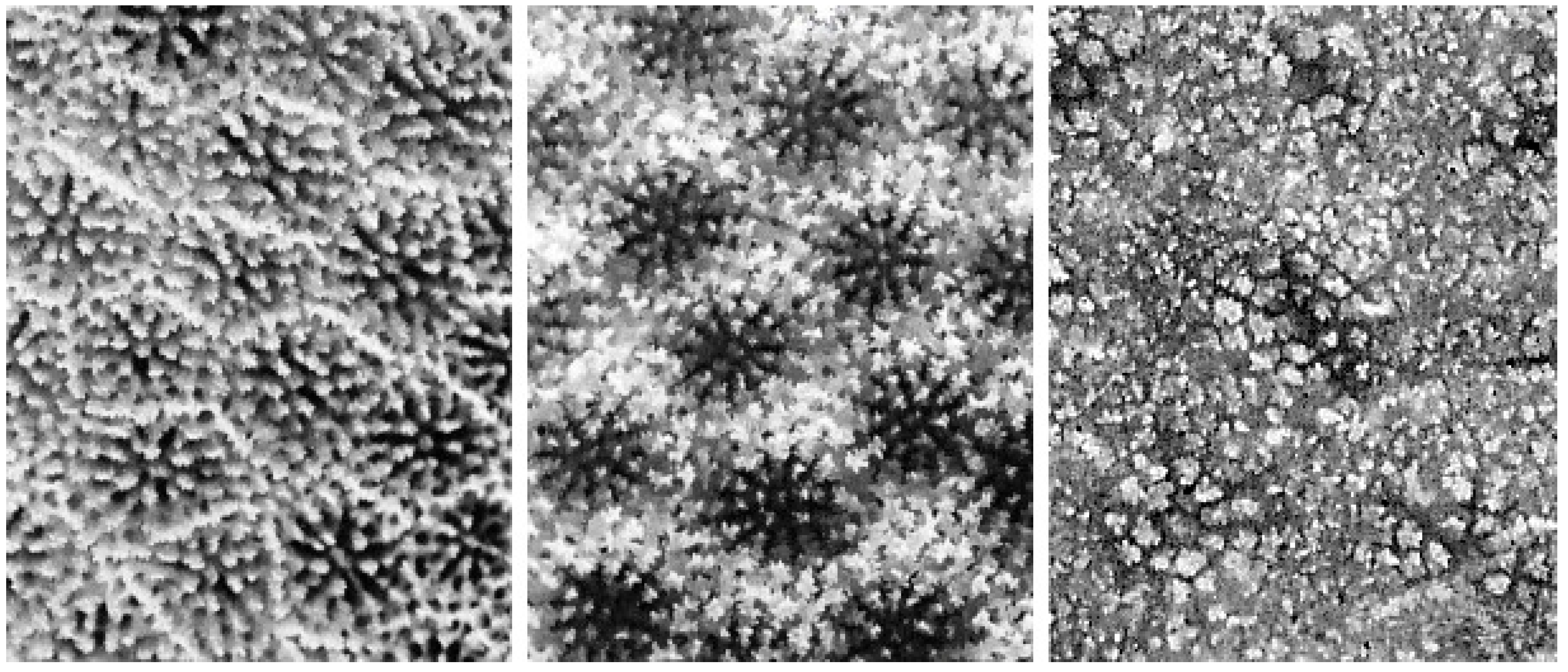 Diversity 17 00823 g048