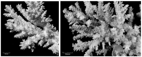 Diversity 17 00823 g053
